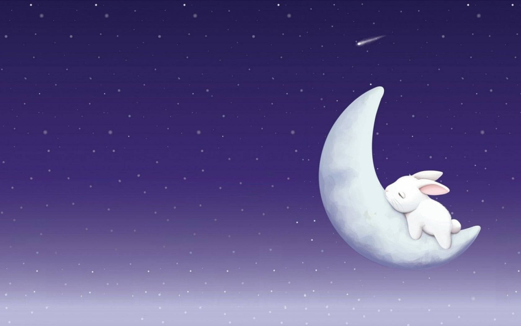 cute bunny, crescent moon, starry purple night sky, HD Desktop Wallpaper