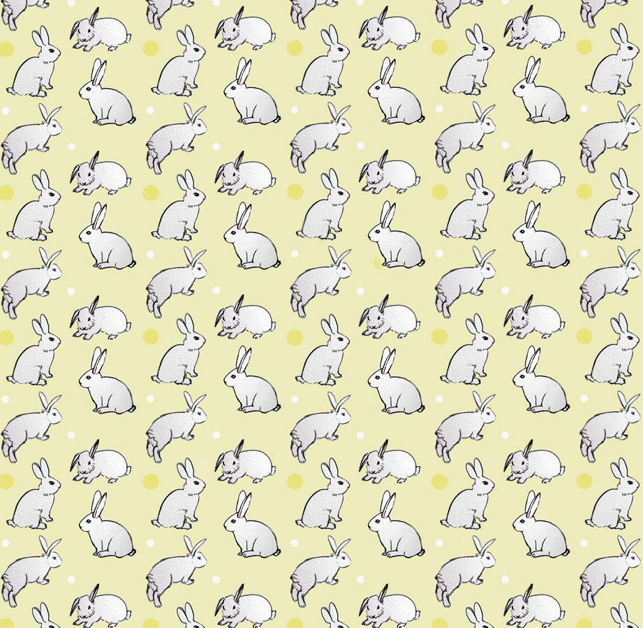 cute bunny, gray rabbits, pale yellow background, SD Desktop Wallpaper
