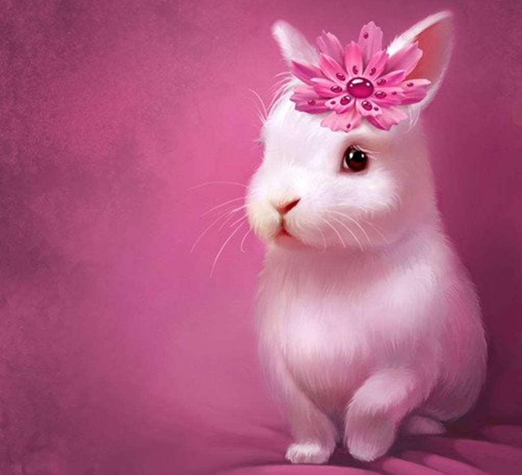 cute bunny, pink flower, fluffy white rabbit, SD Desktop Wallpaper