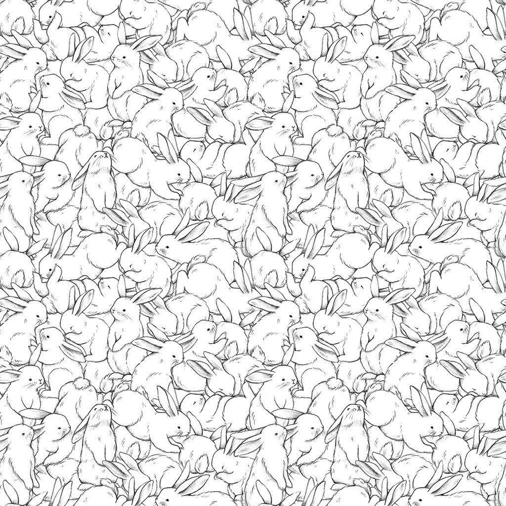 cute bunny, line drawings, monochrome line art, SD Desktop Wallpaper