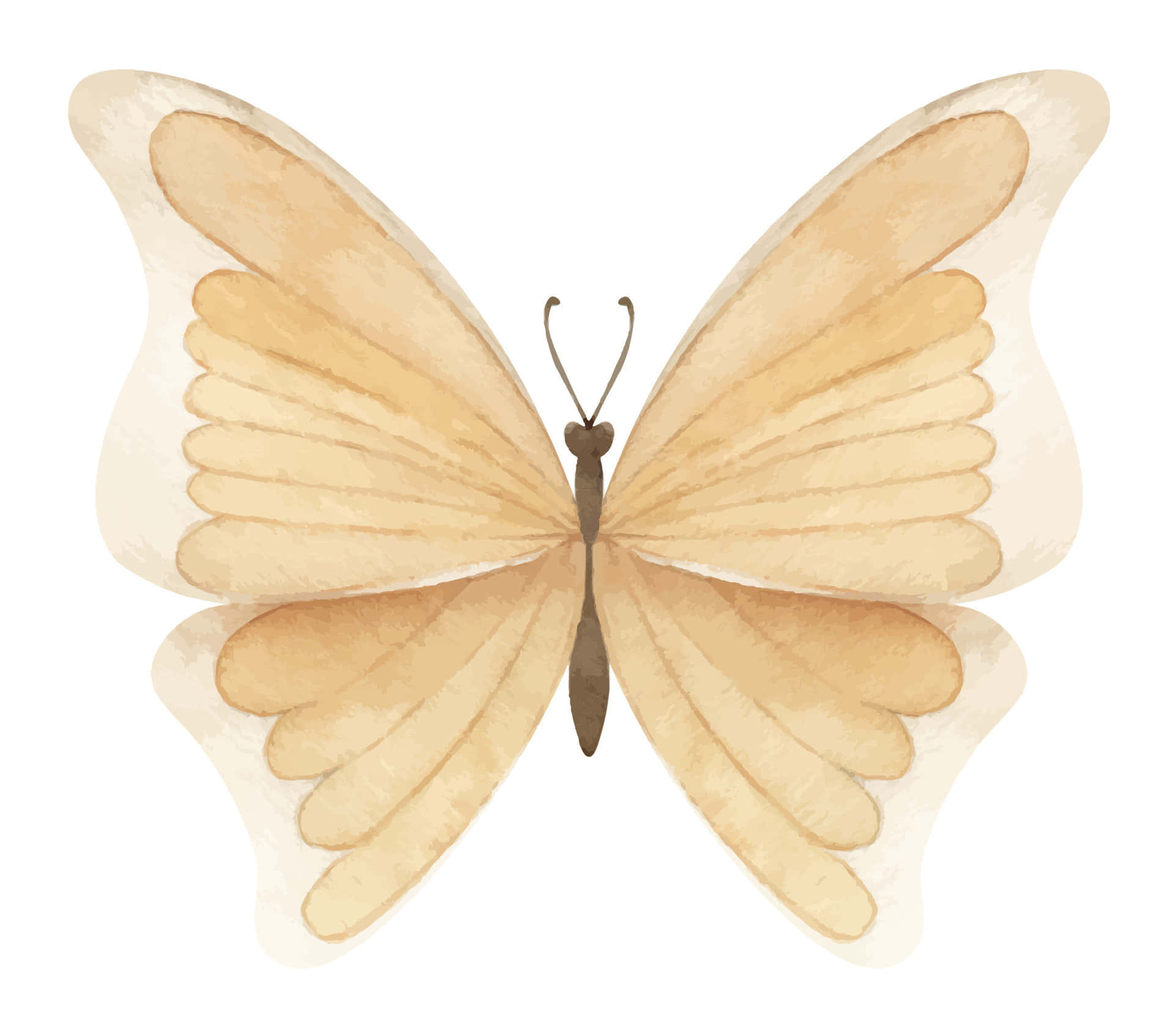 beige butterfly, watercolor butterfly, soft beige wings, Full HD Desktop Wallpaper