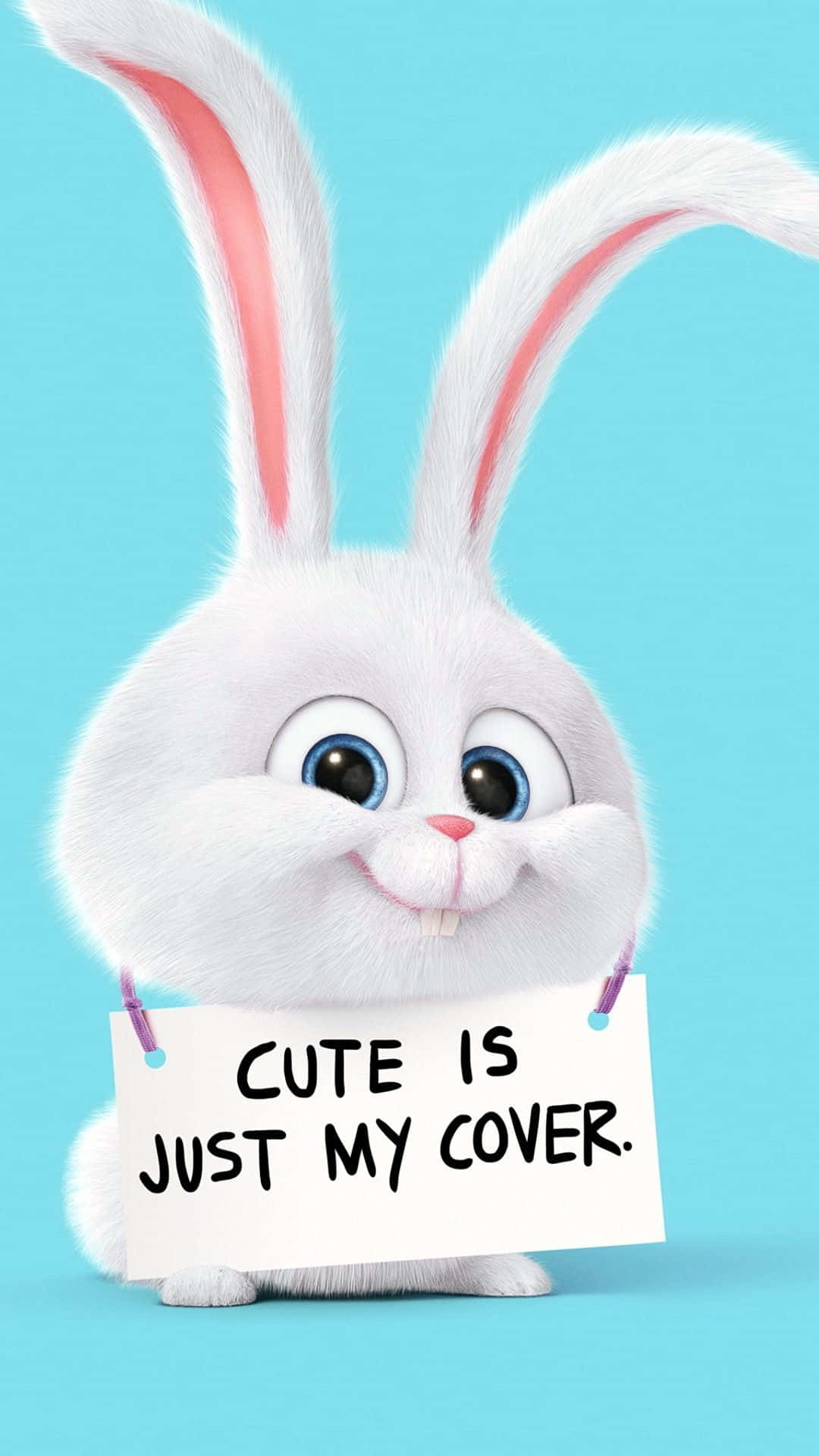 Cute Cartoon Animal, bunny, fluffy white, Full HD Phone Wallpaper