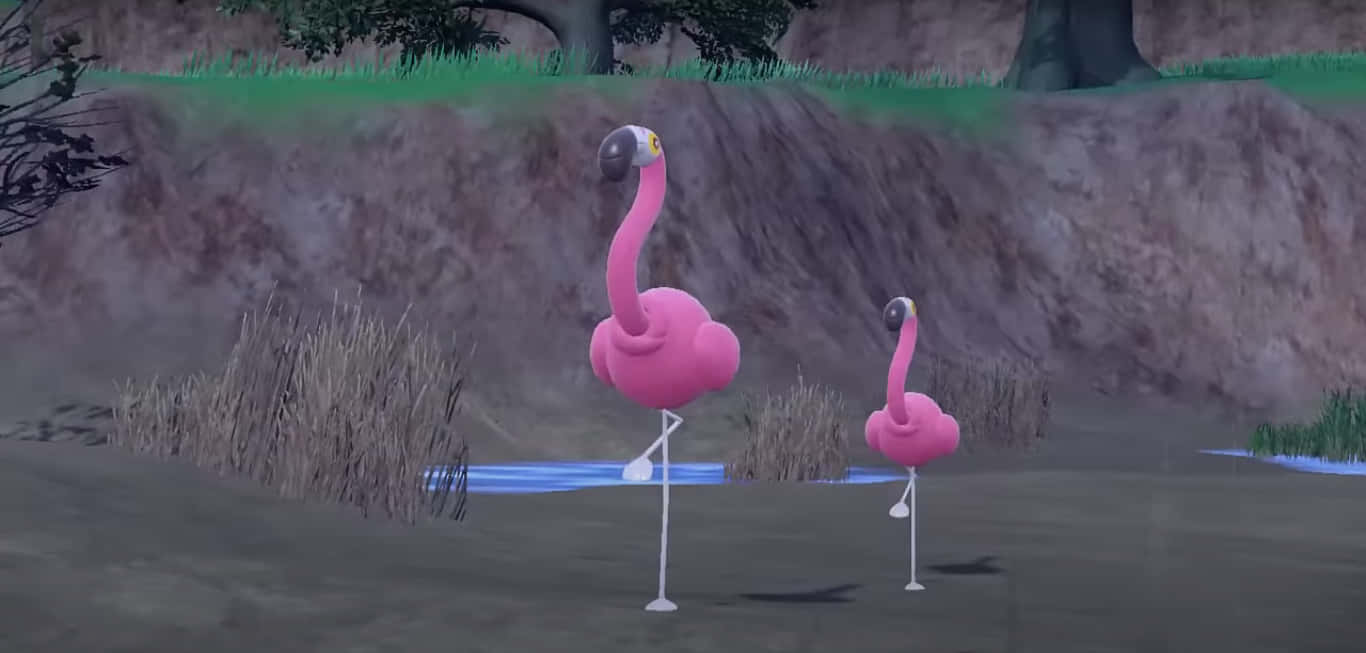 plastic flamingos, pink flamingos, shallow water, HD Desktop Wallpaper