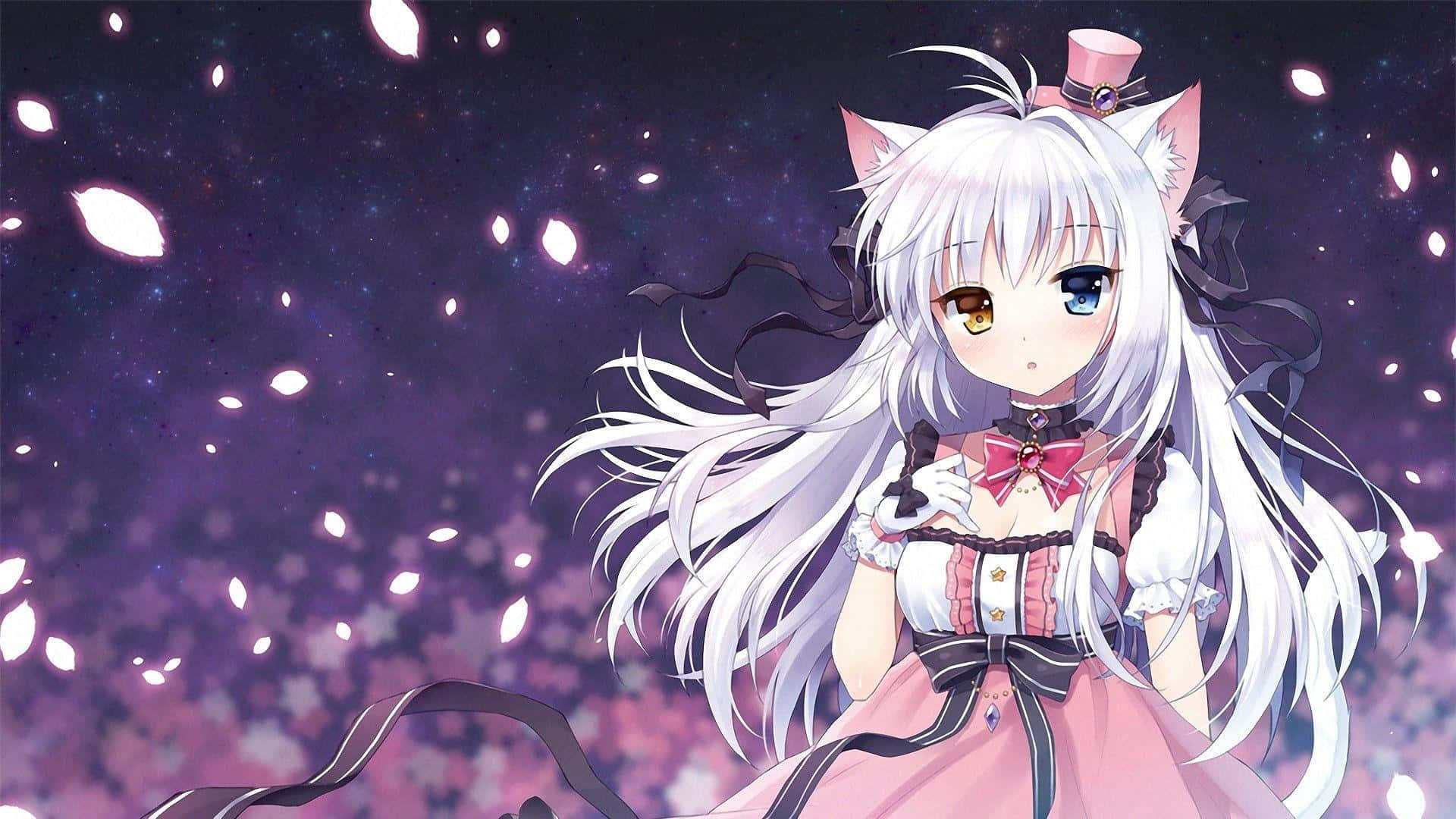 anime fantasy cutecore character, cat ears, heterochromatic eyes, Full HD Desktop Wallpaper