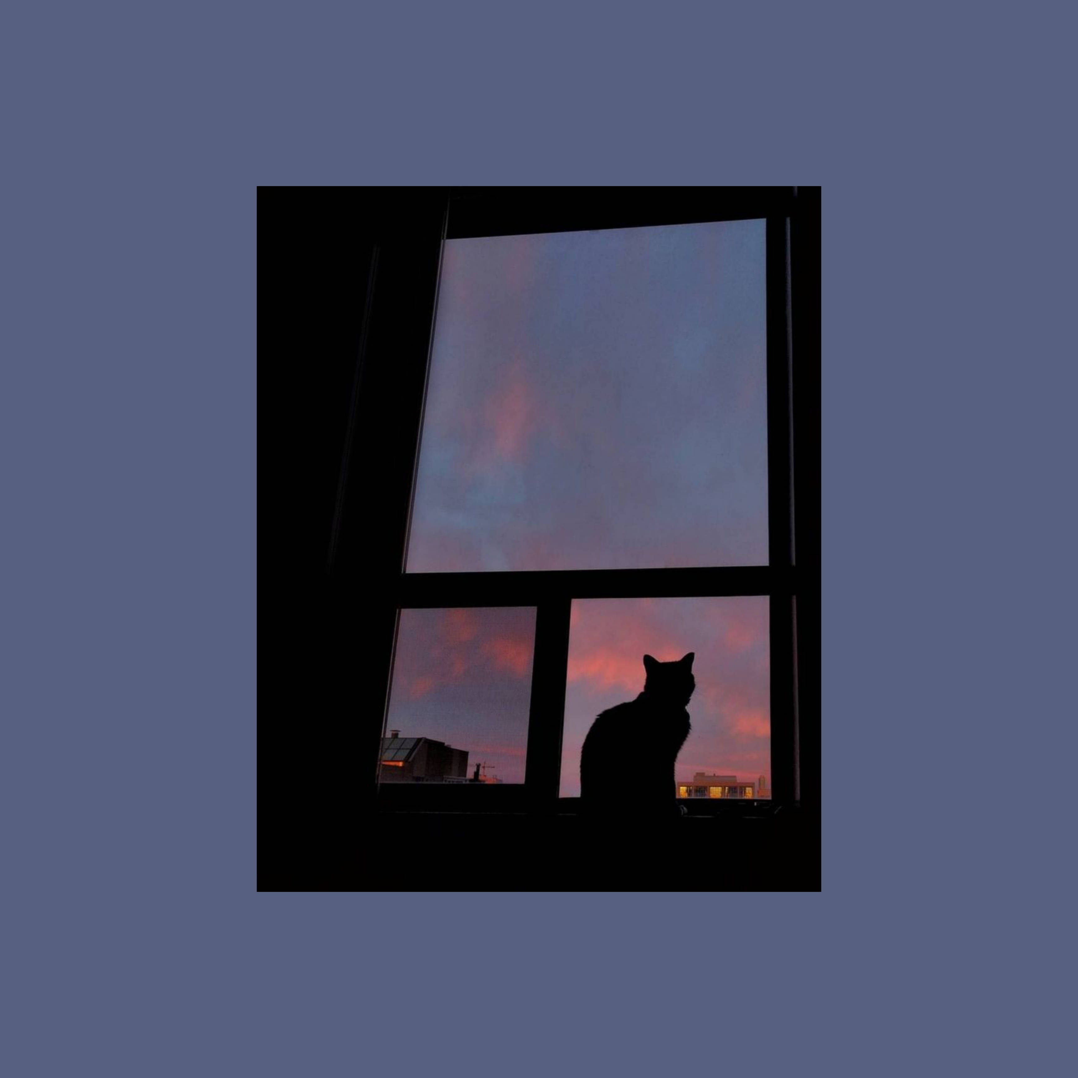 Cute Cat Aesthetic, windowsill, twilight sky, 2K Desktop Wallpaper