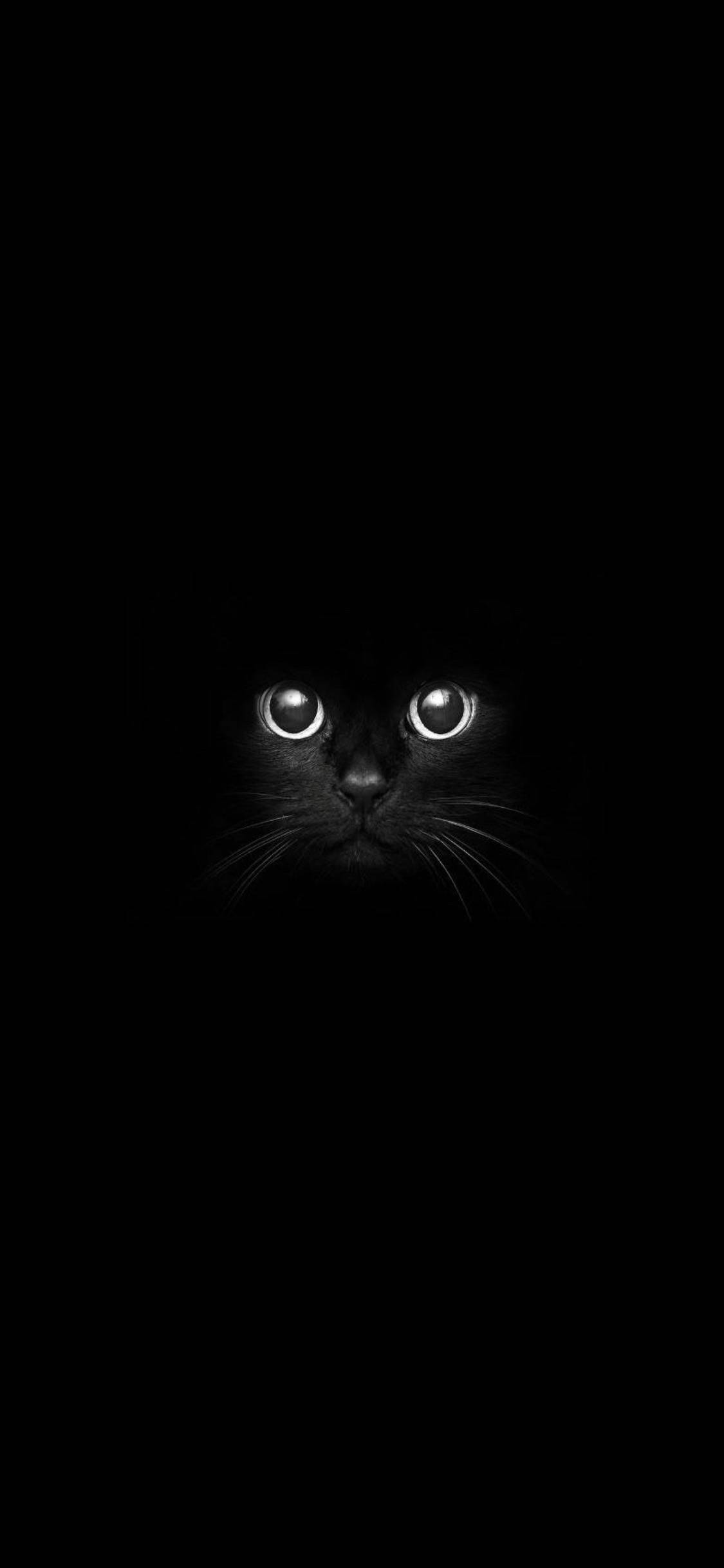 cute cat love, black cat, glowing eyes, Full HD Phone Wallpaper