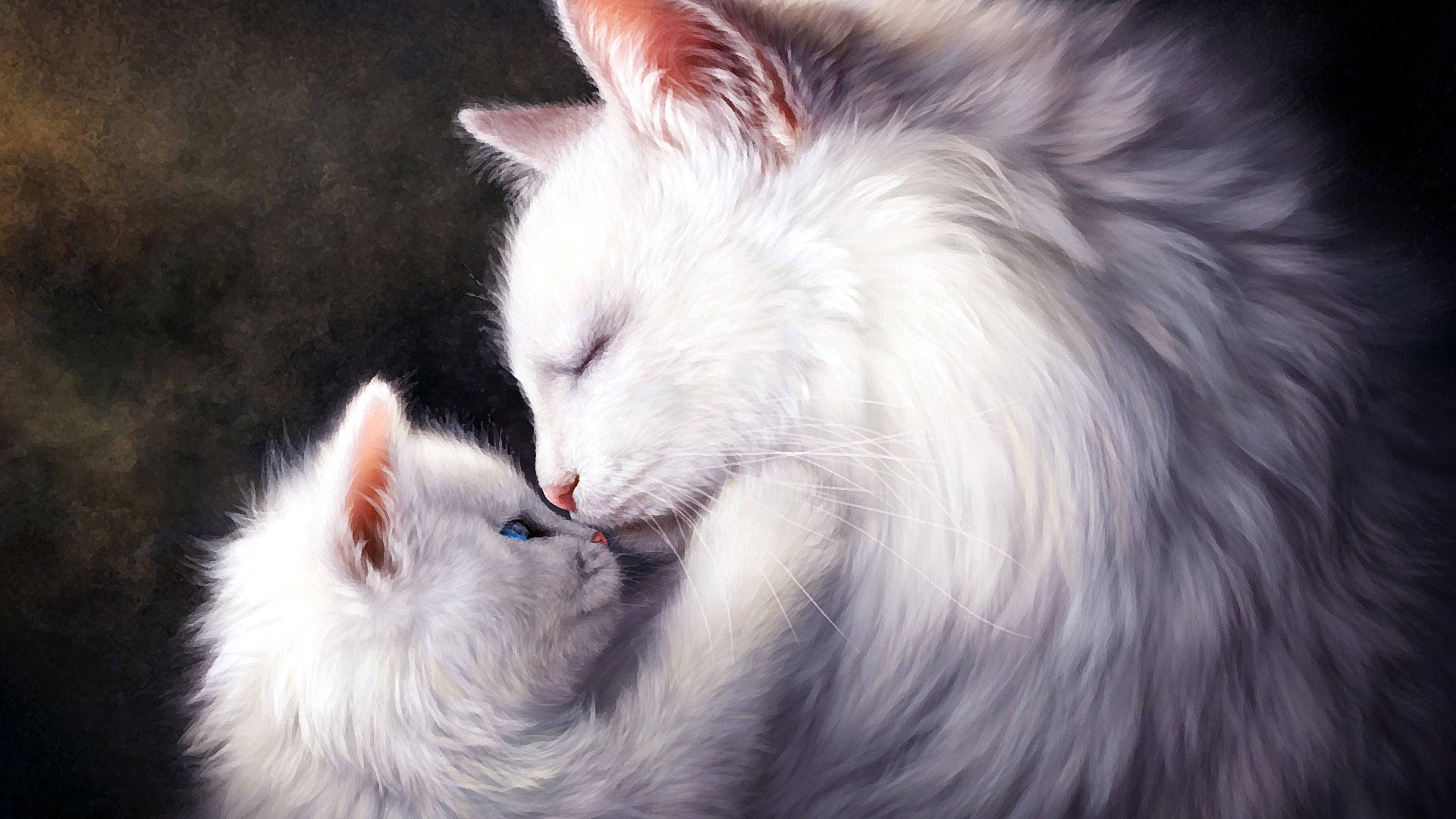 Cute Cat Love Kiss, fluffy white mother cat, tiny kitten, Full HD Desktop Wallpaper
