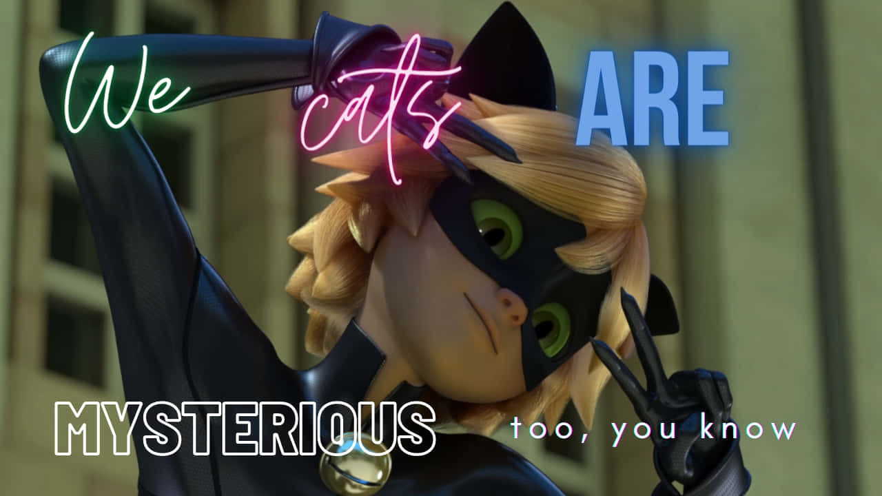 Cat Noir, black suit, neon text overlay, HD Desktop Wallpaper
