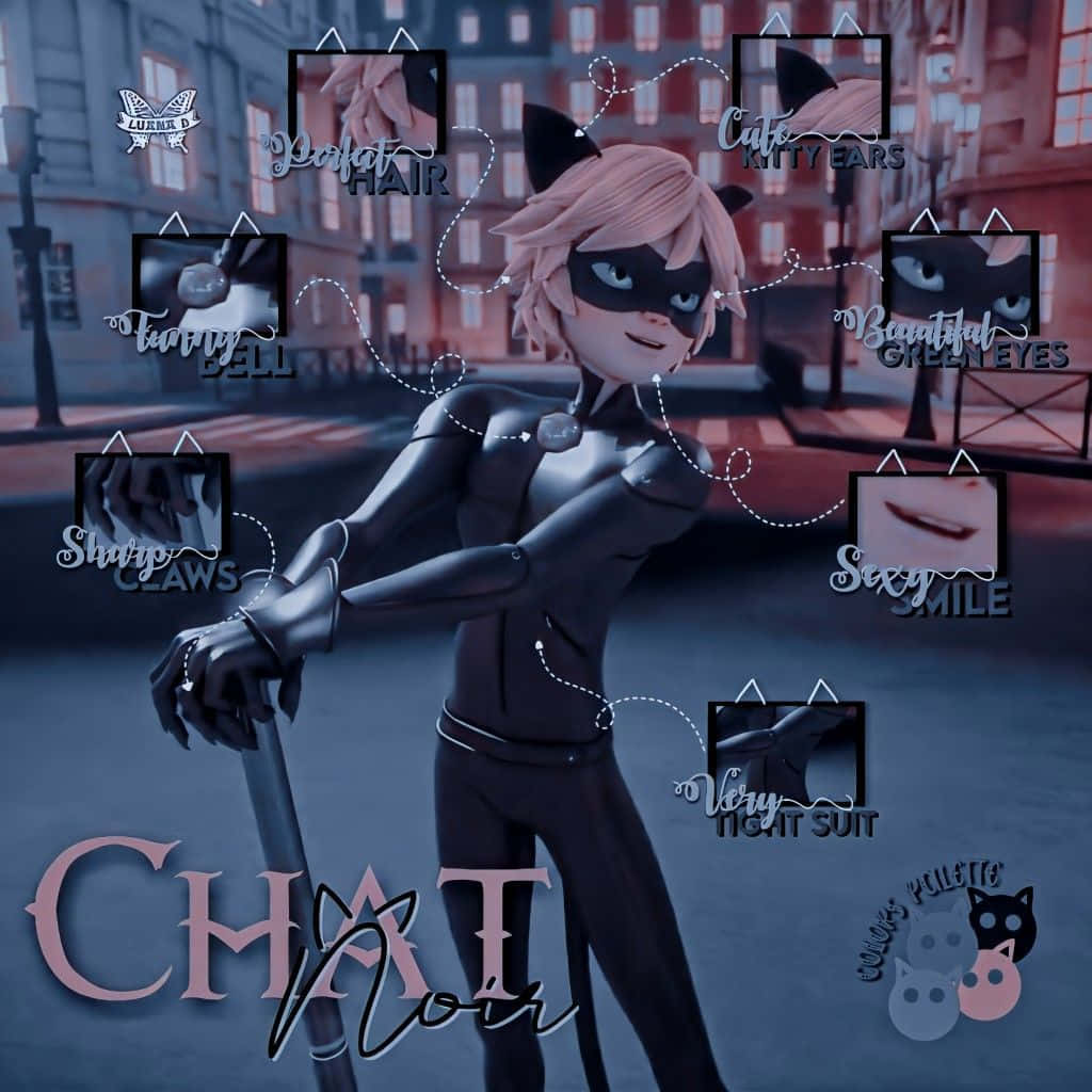 Cute Cat Noir, black cat-themed suit, city street at night, SD Desktop Wallpaper