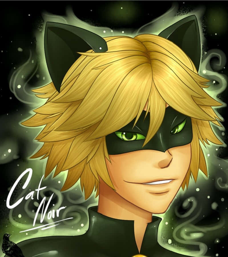 Cat Noir, anime character, blonde hair, SD Phone Wallpaper
