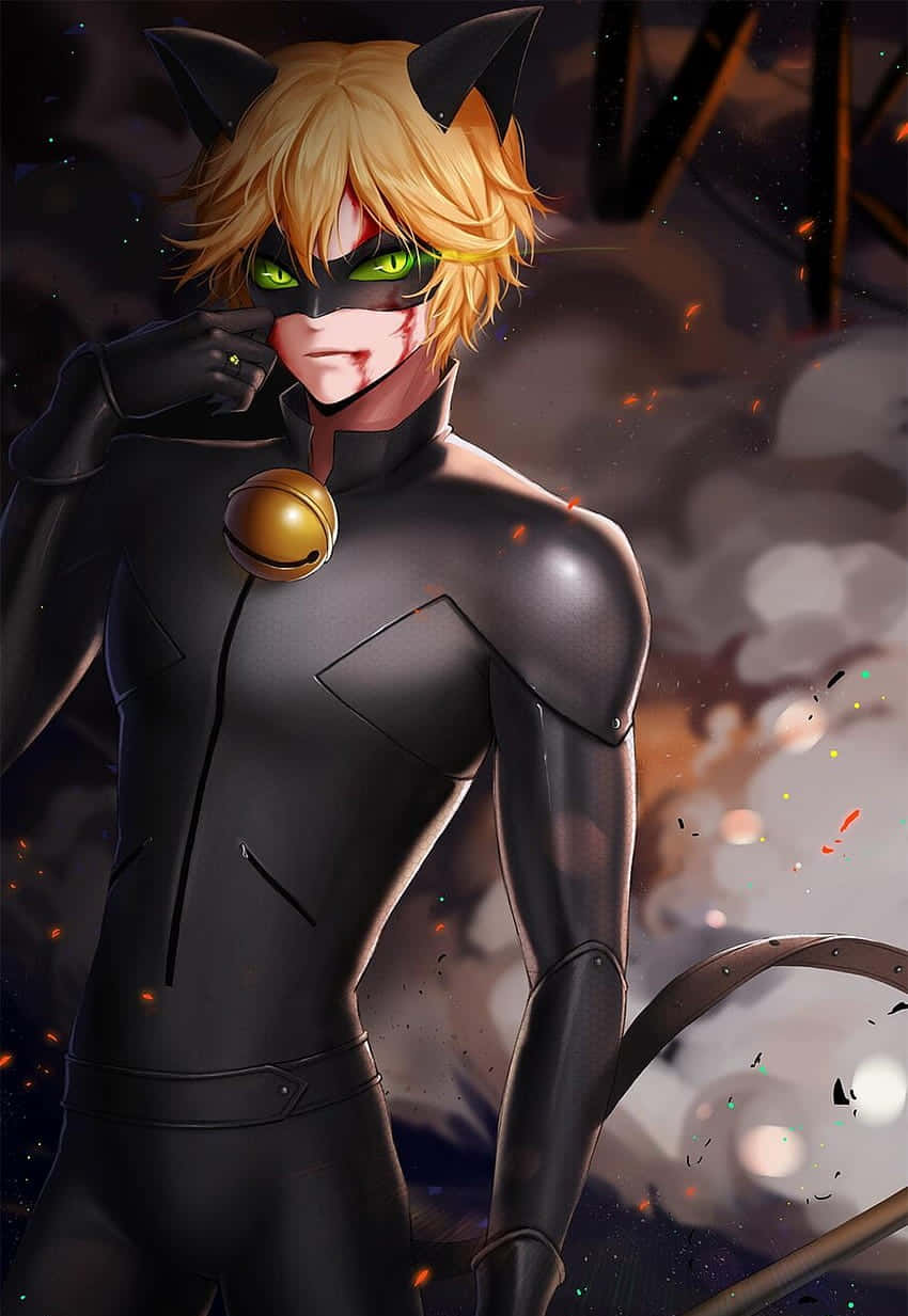 Cat Noir, anime cat burglar, sleek black suit, SD Phone Wallpaper