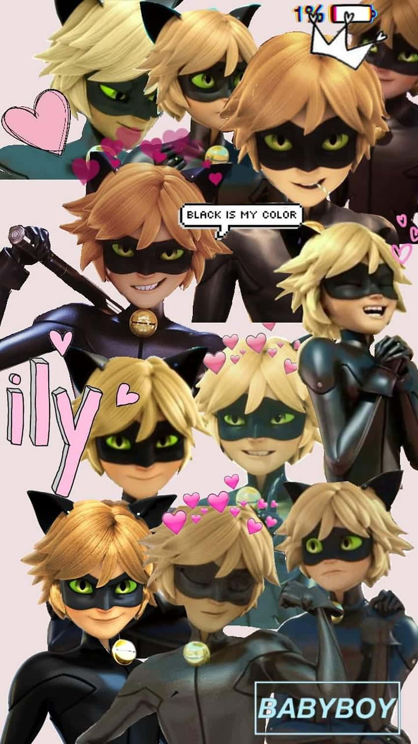 Cat Noir, pink hearts, text overlays, HD Phone Wallpaper