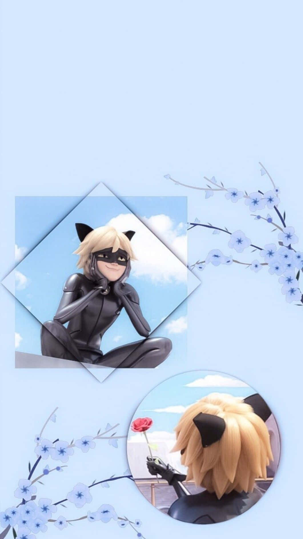 Cat Noir, black suit, soft blue sky, HD Phone Wallpaper