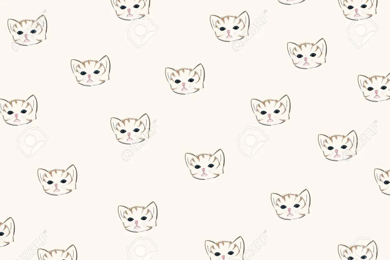 cute cat pattern, kitten faces, striped fur, HD Desktop Wallpaper