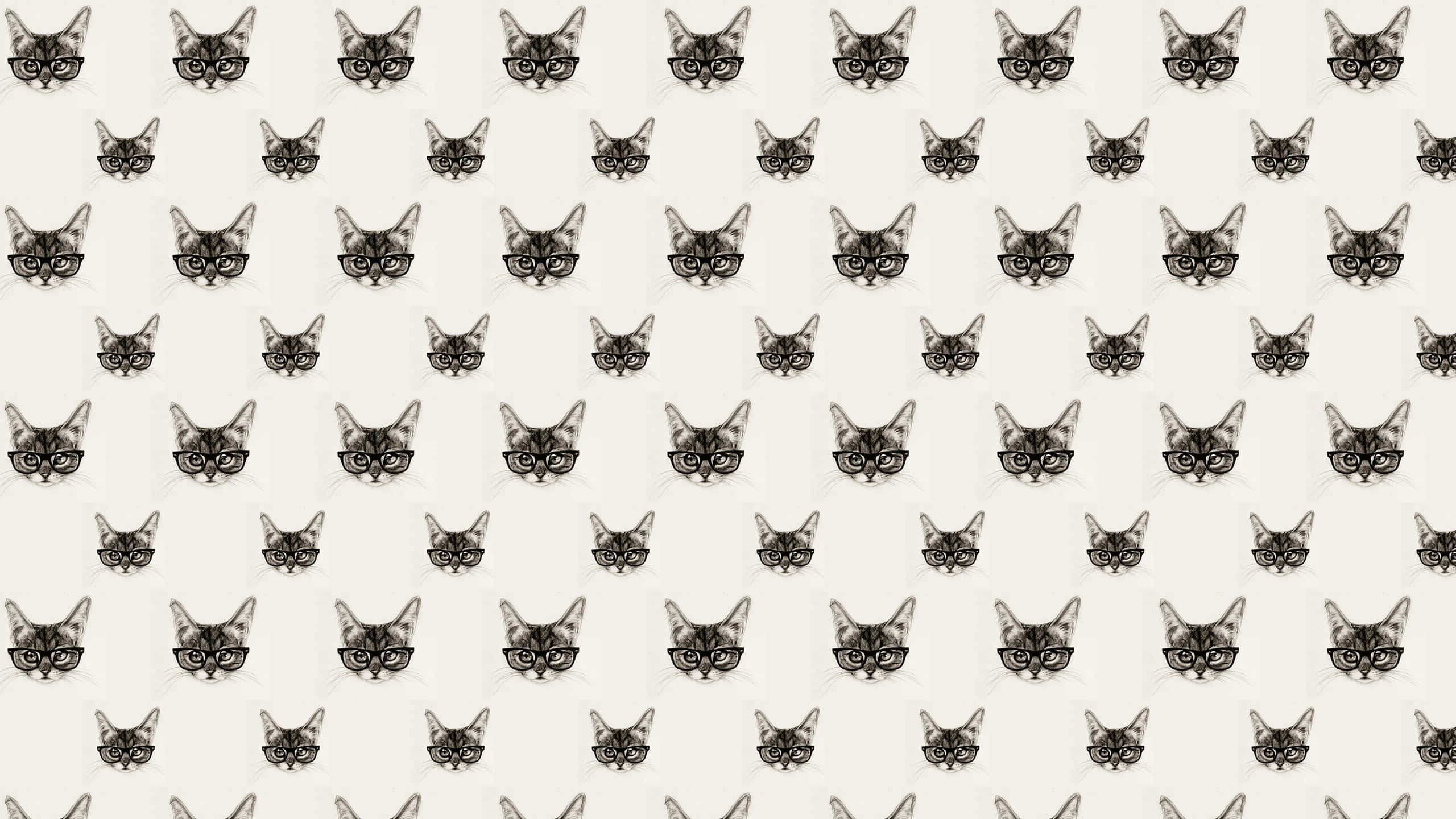 cute cat pattern, black and white cat faces, glasses, 2K Desktop Wallpaper