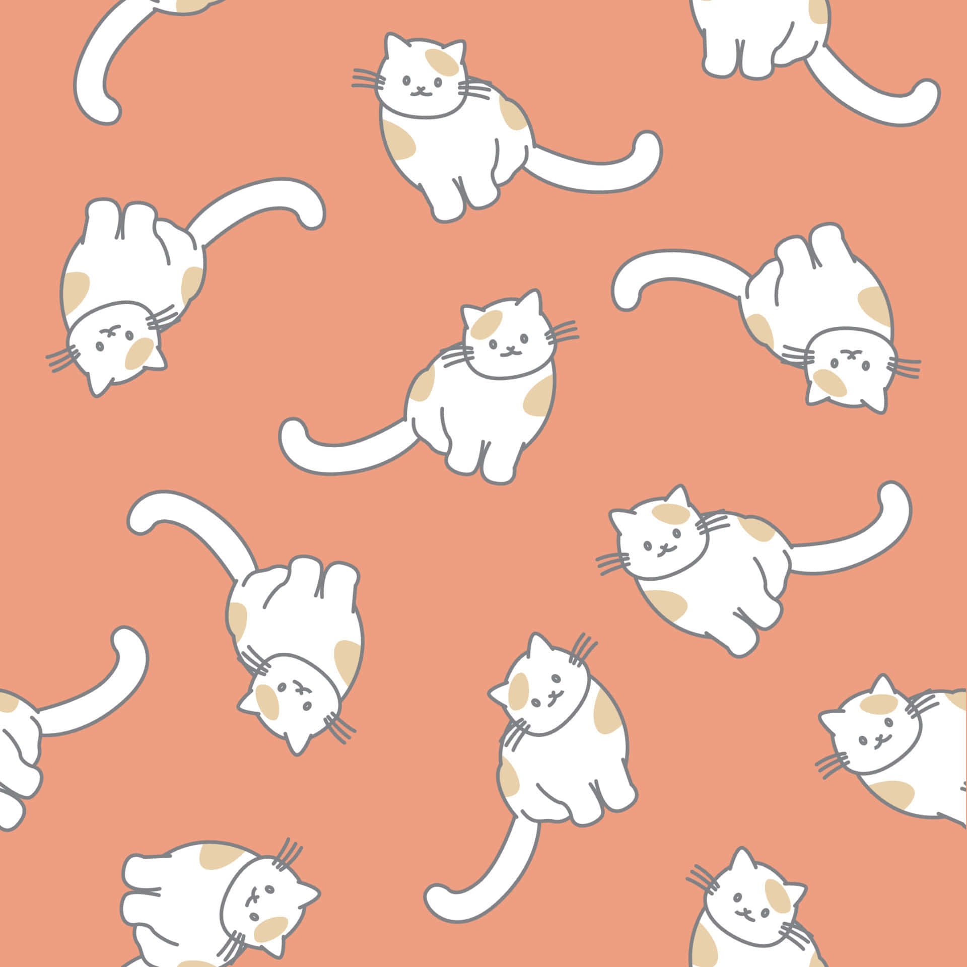 cute cat pattern, white cats, tan spots, Full HD Desktop Wallpaper