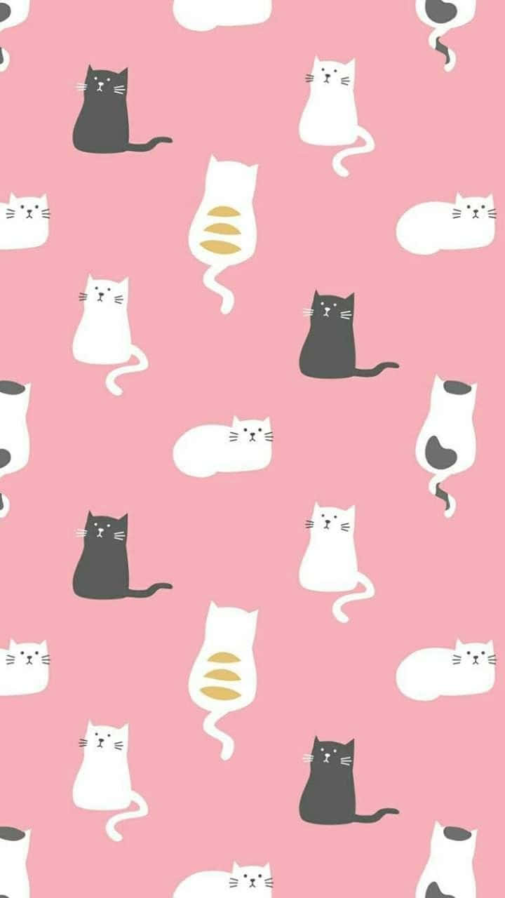 cute cat pattern, pink background, white and black cartoon cats, HD Phone Wallpaper
