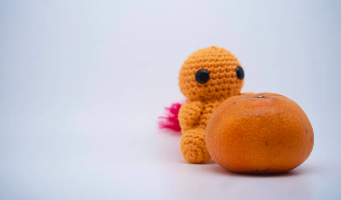 Cute Charmander