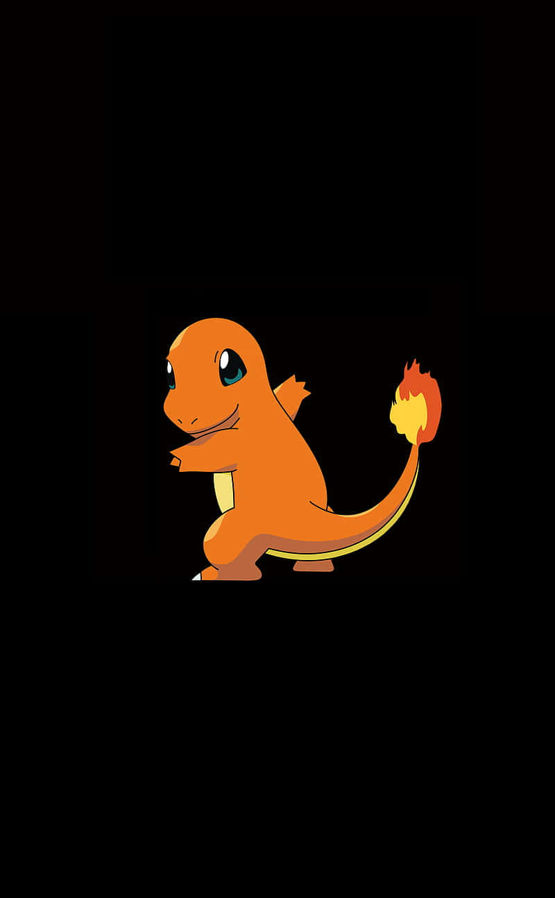 Cute Charmander, Charmander, orange, HD Phone Wallpaper