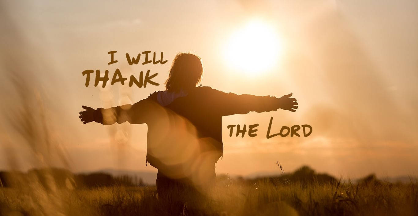God's Love Navigates US Through Life, golden field, sun shines brightly, HD Desktop Wallpaper