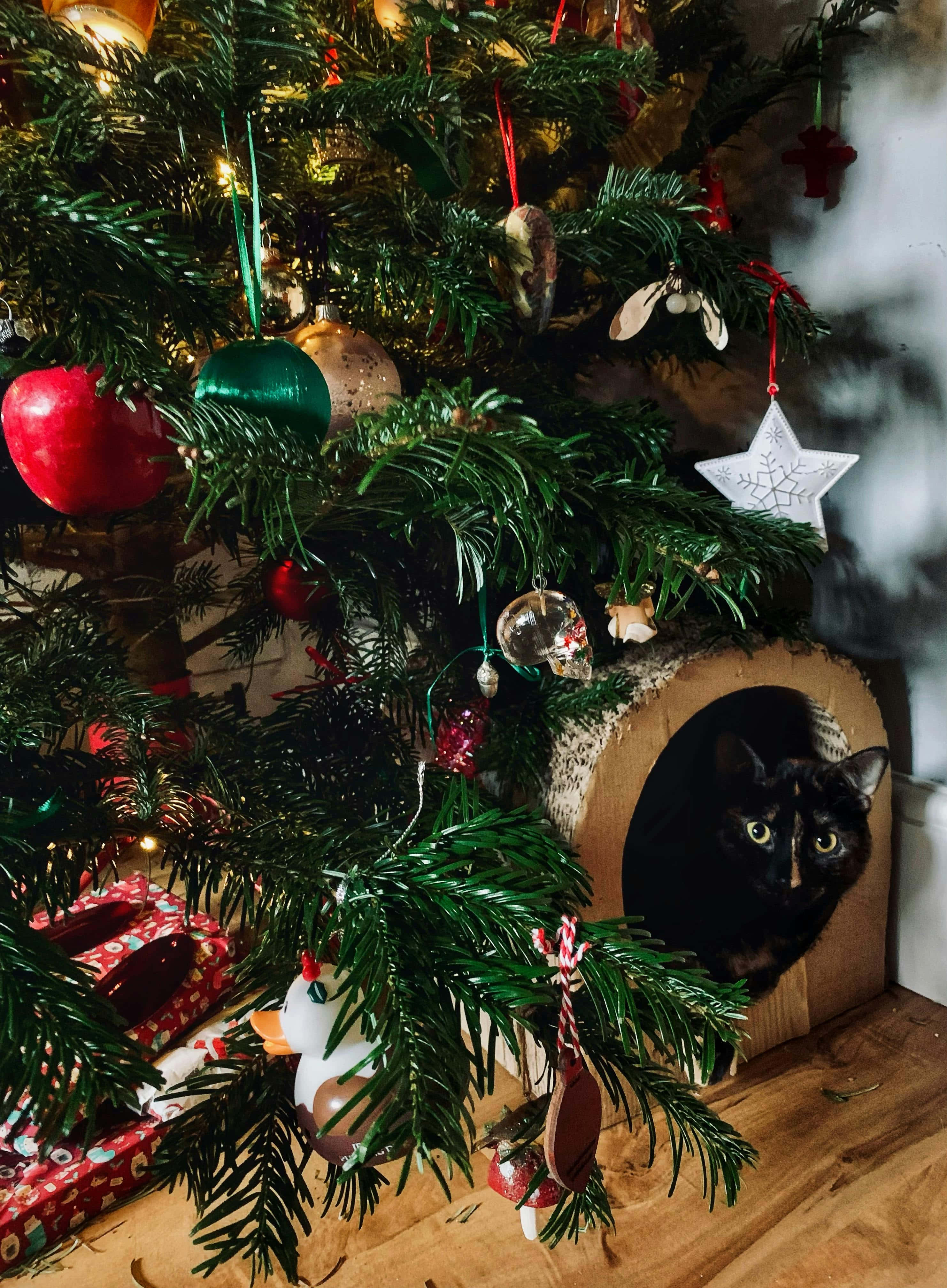 black cat, wooden hideout, decorated Christmas tree, 4K Phone Wallpaper