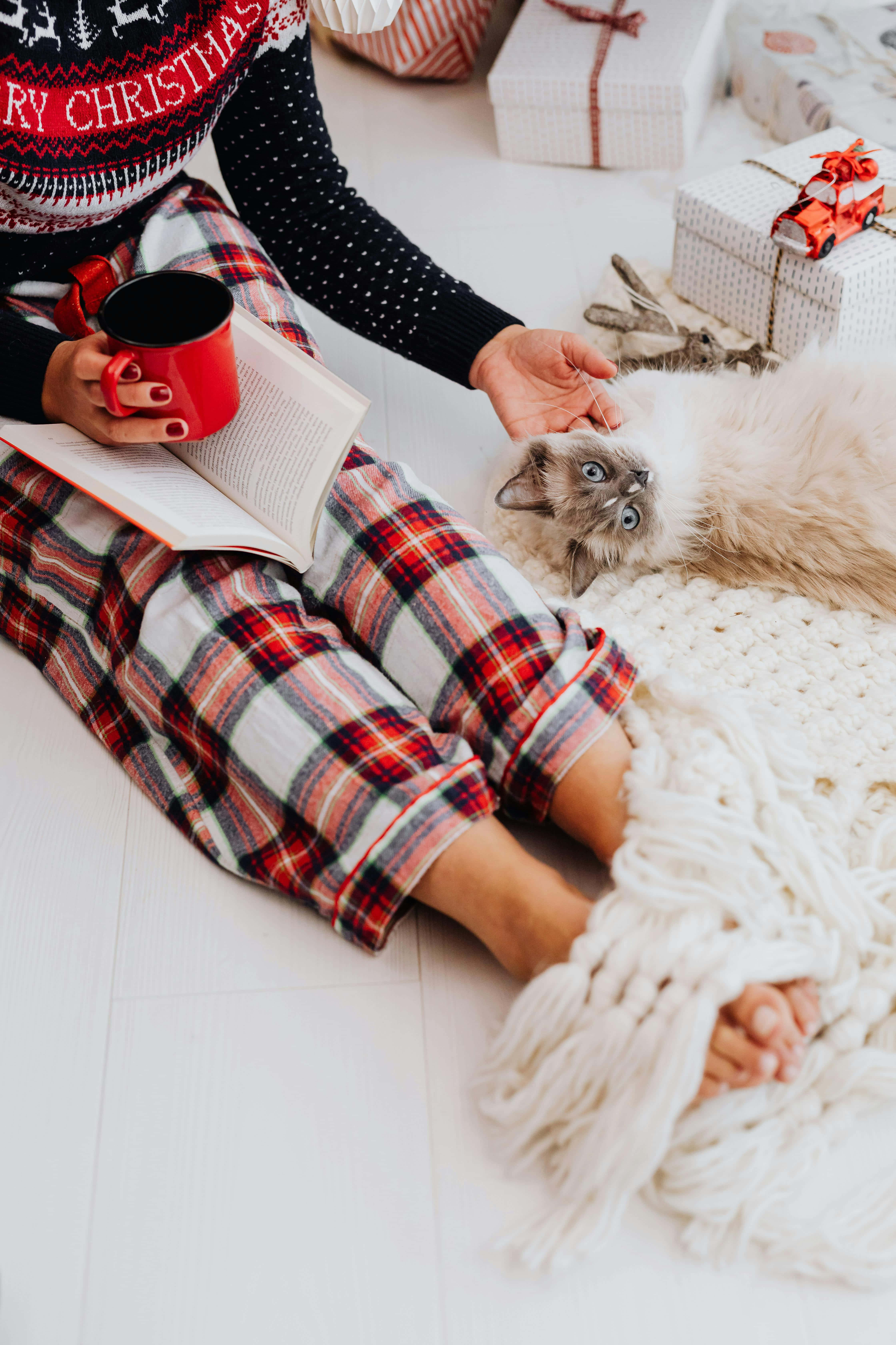 Cozy Christmas Cat Relaxation, festive christmas sweater, plaid pajamas, 5K Phone Wallpaper