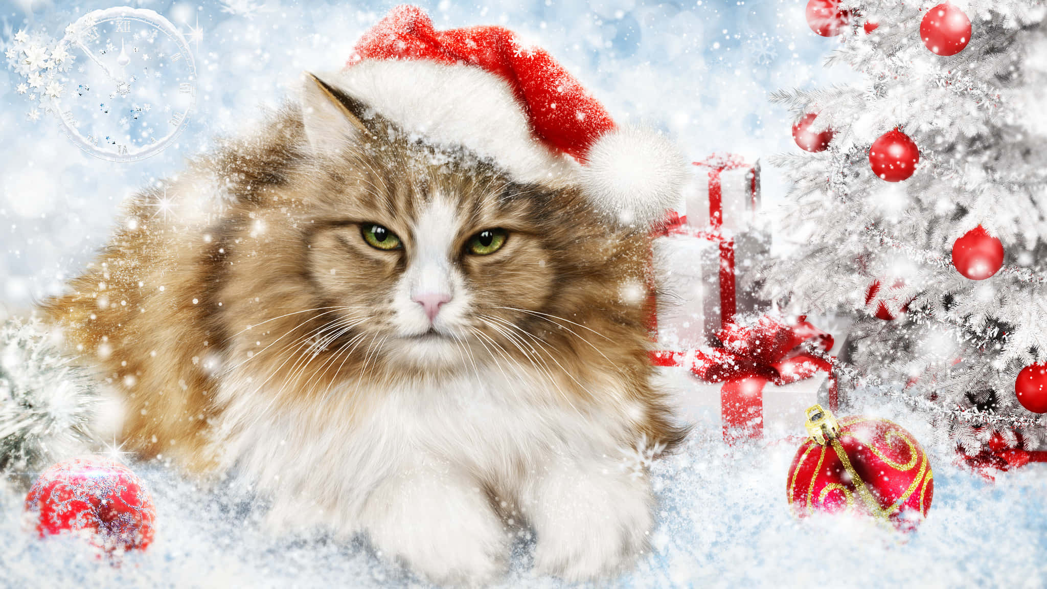 Festive Christmas Catin Santa Hat, red Santa hat, fluffy brown and white cat, Full HD Desktop Wallpaper