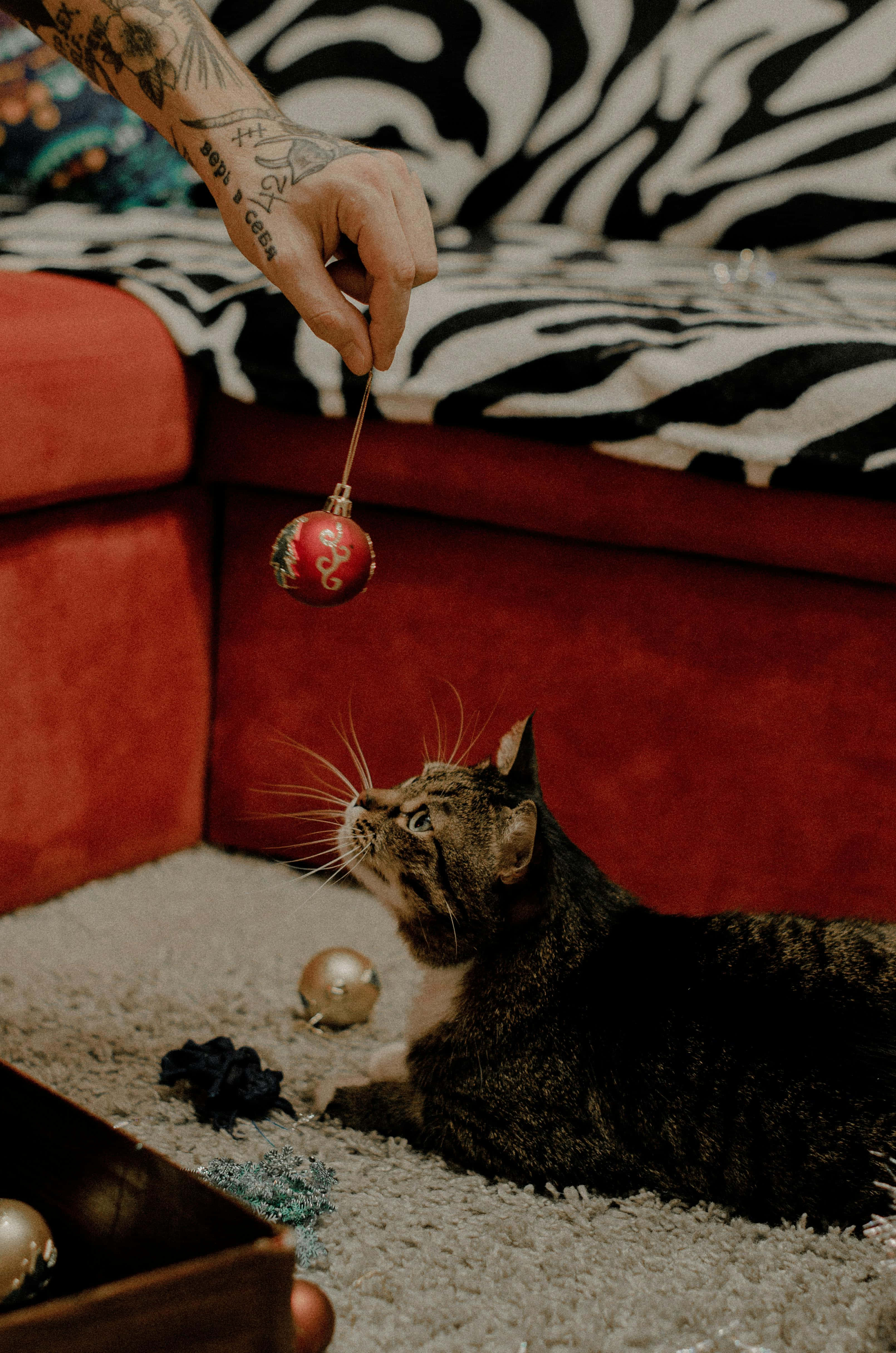 tabby cat, red Christmas ornament, carpet, 4K Phone Wallpaper