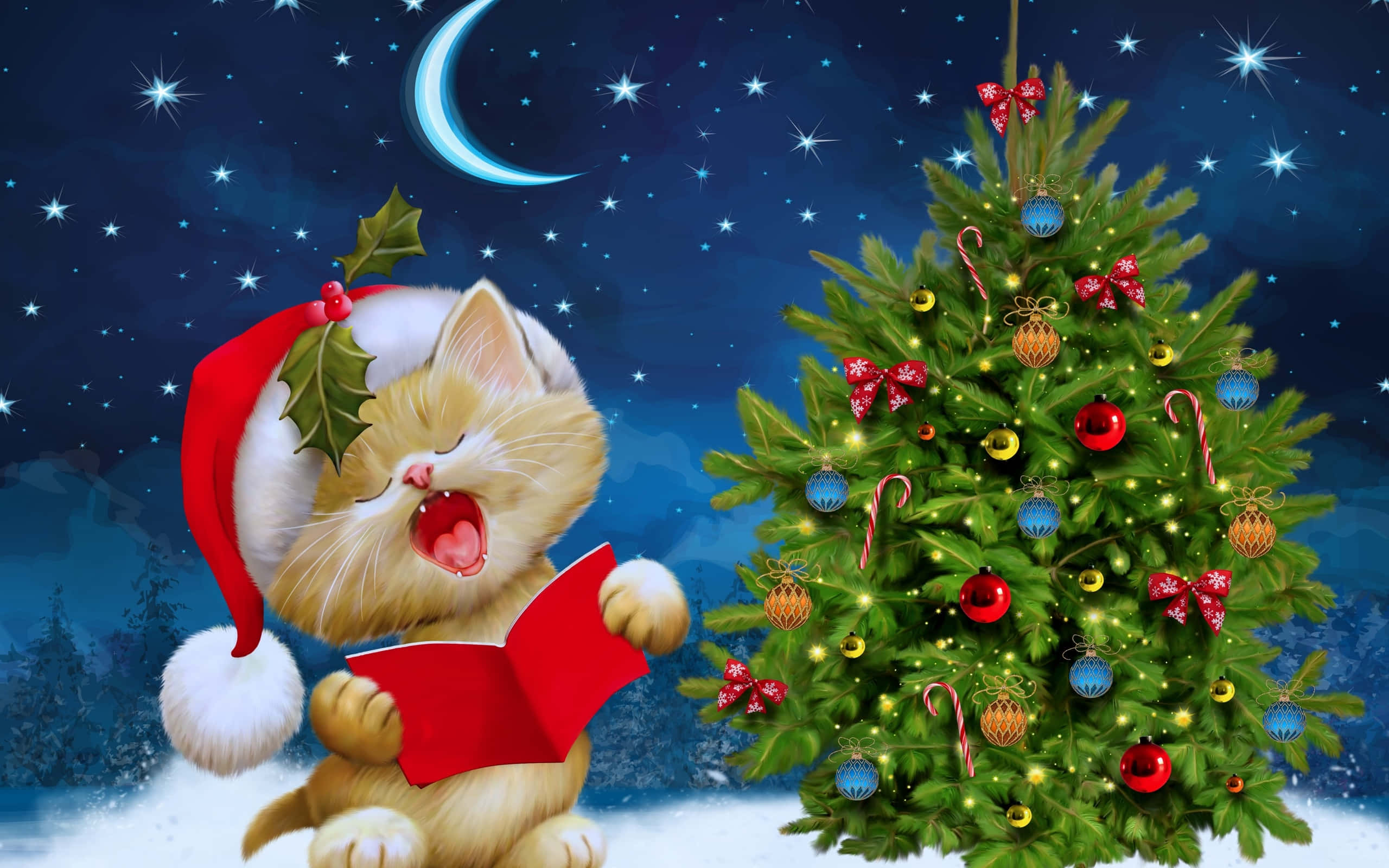 ginger kitten, Santa hat, red book, 2K Desktop Wallpaper