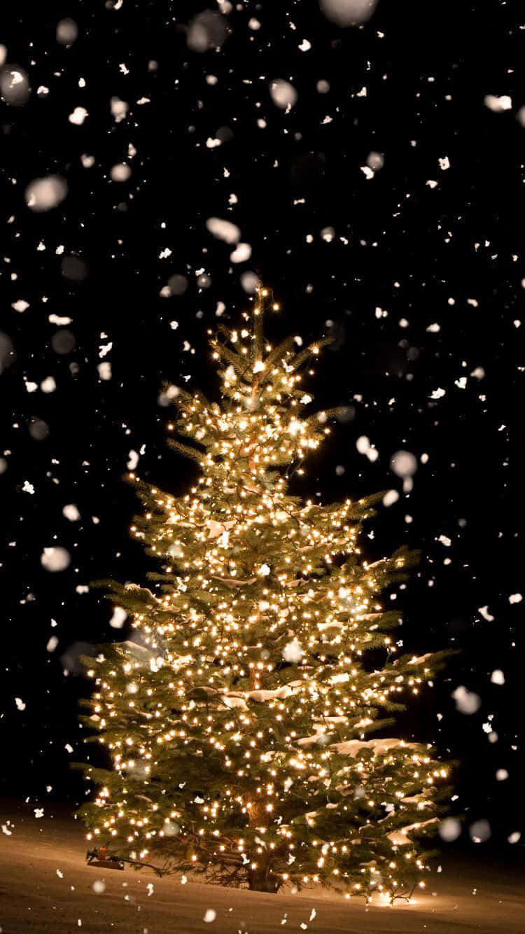 Christmas tree, warm lights, snowy night sky, HD Phone Wallpaper