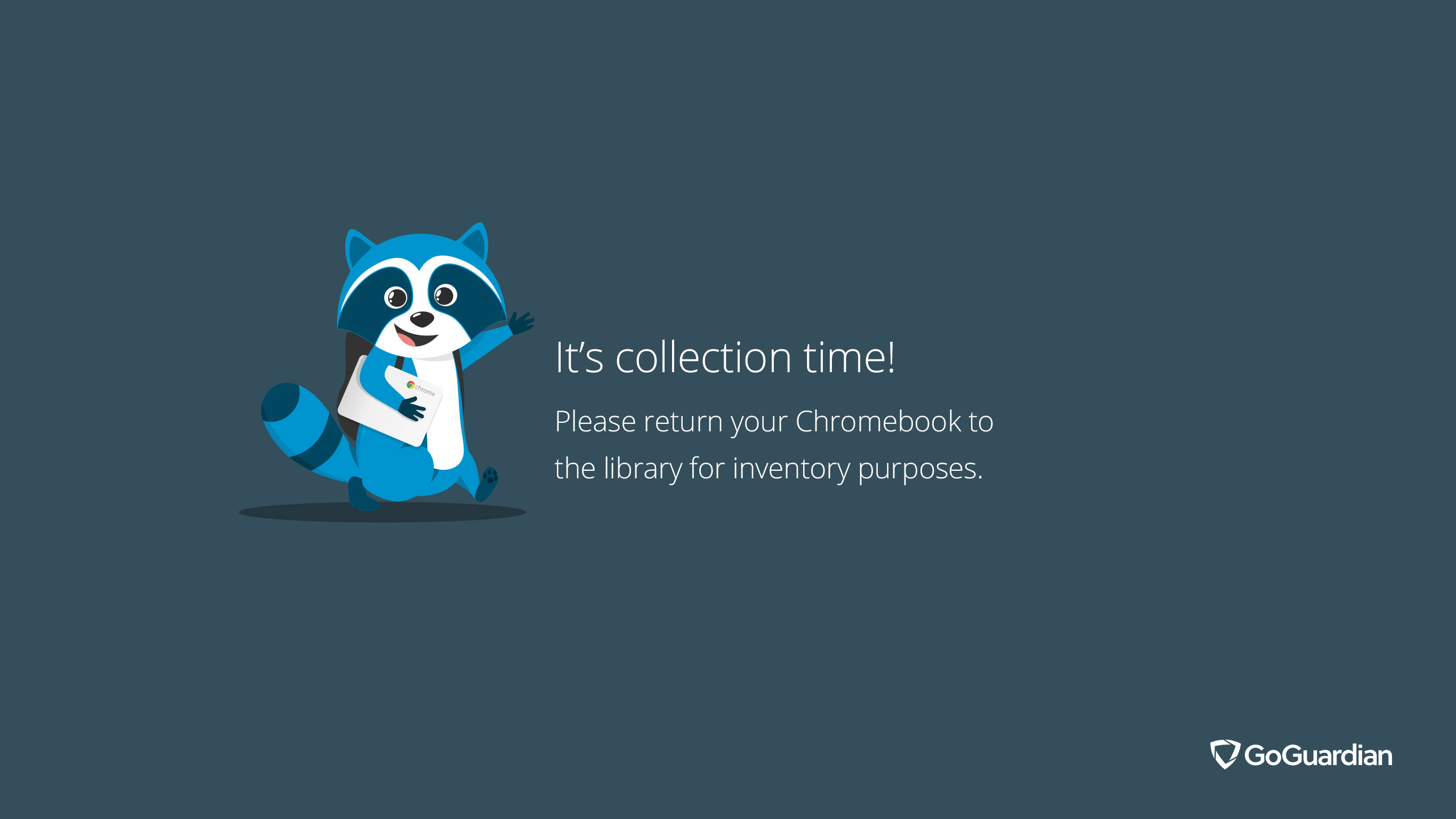 blue raccoon, Chromebook, dark teal background, 2K Desktop Wallpaper