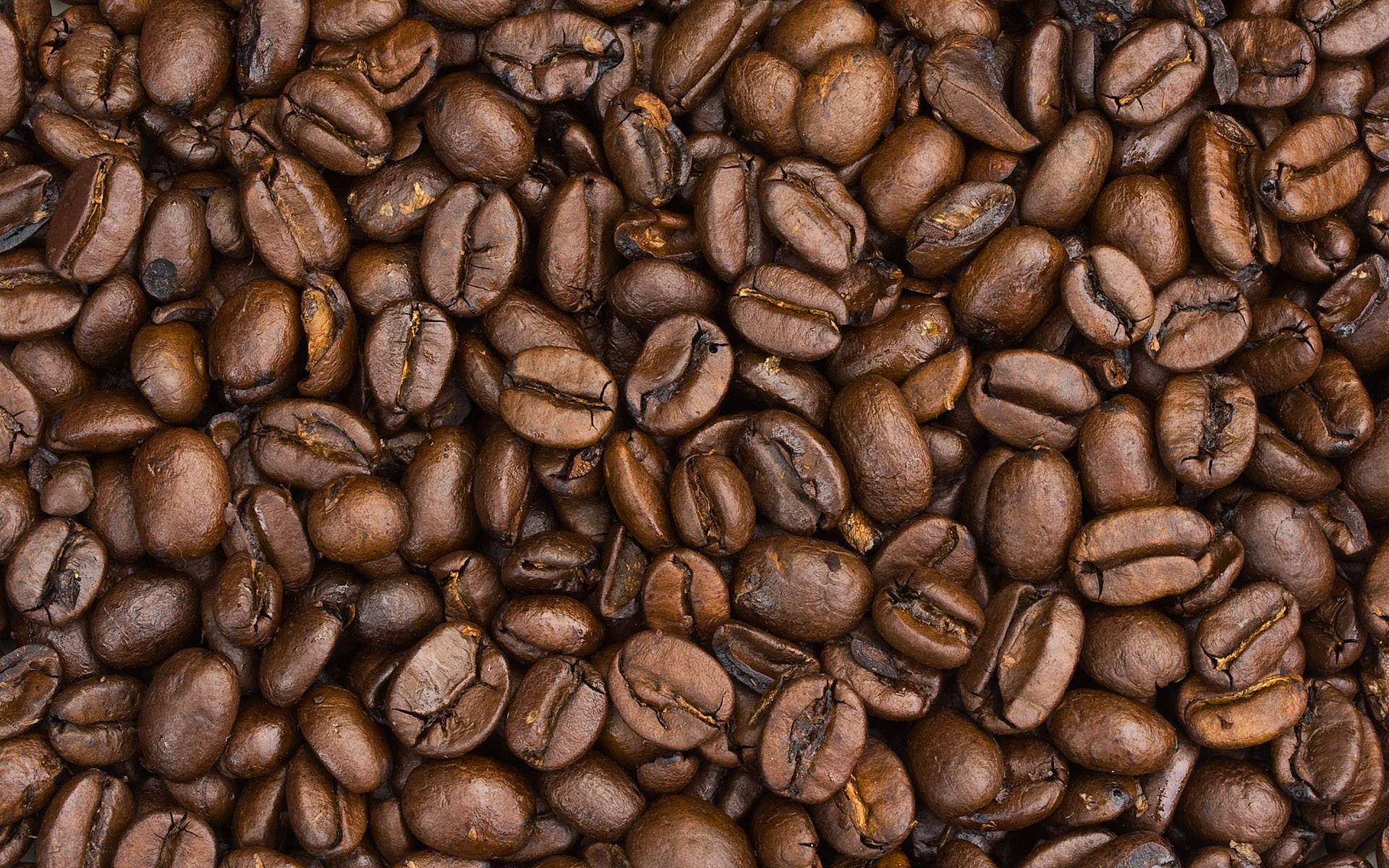 coffee beans, roasted coffee beans, rich brown tones, Full HD Desktop Wallpaper