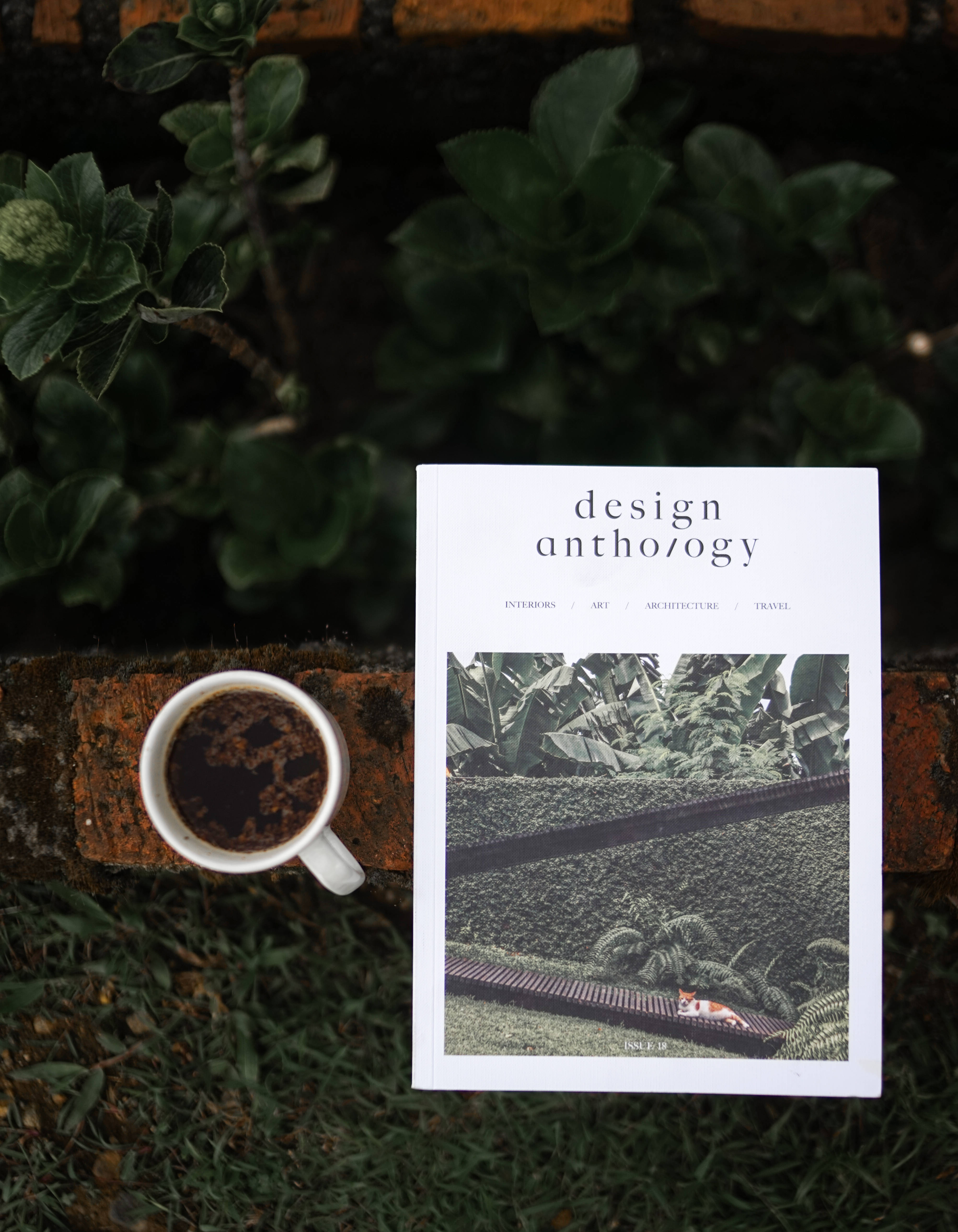 design anthology, white coffee cup, brick ledge, 5K Phone Wallpaper