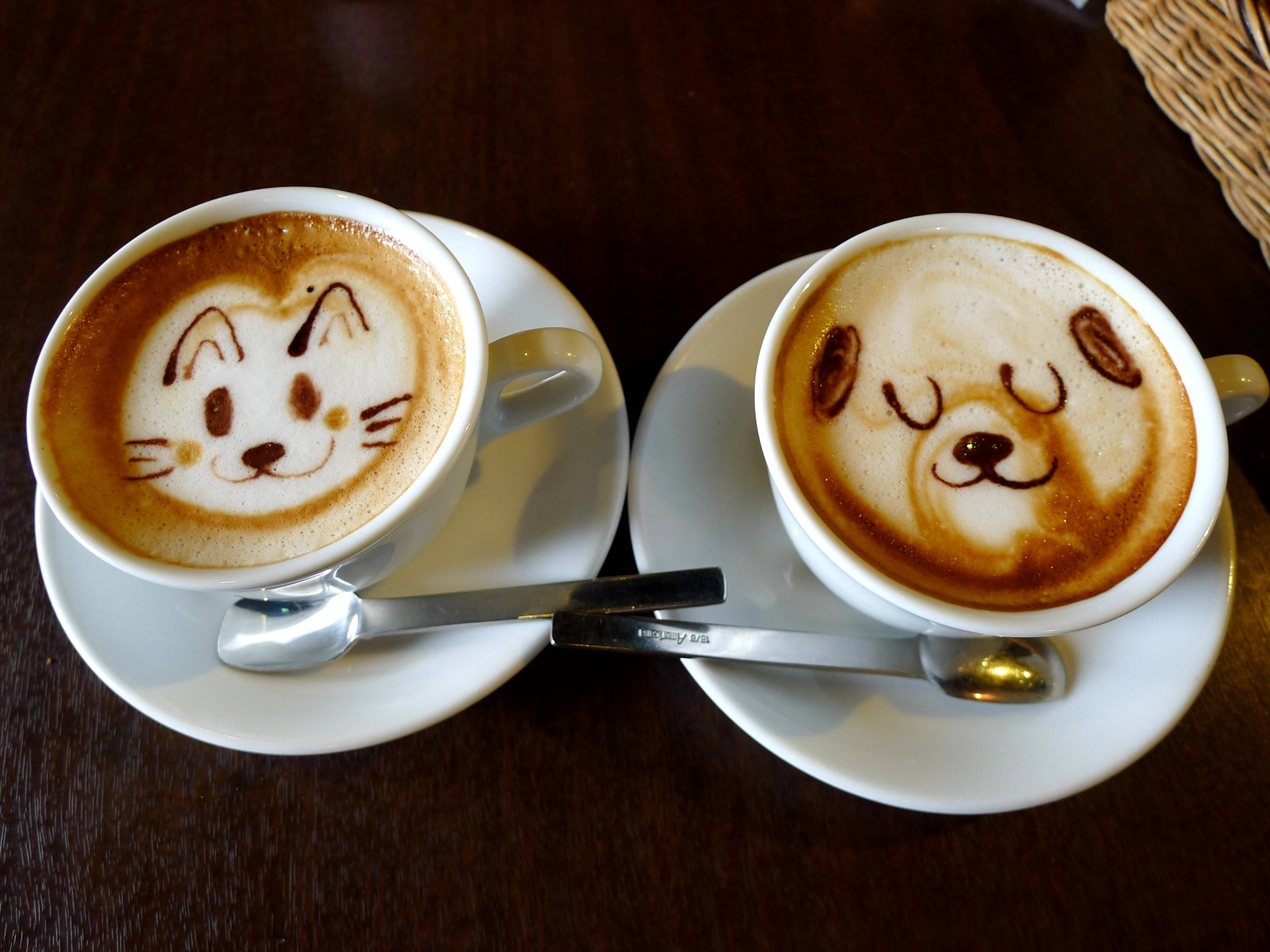 double cup frothy coffee, cat latte art, bear latte art, 2K Desktop Wallpaper
