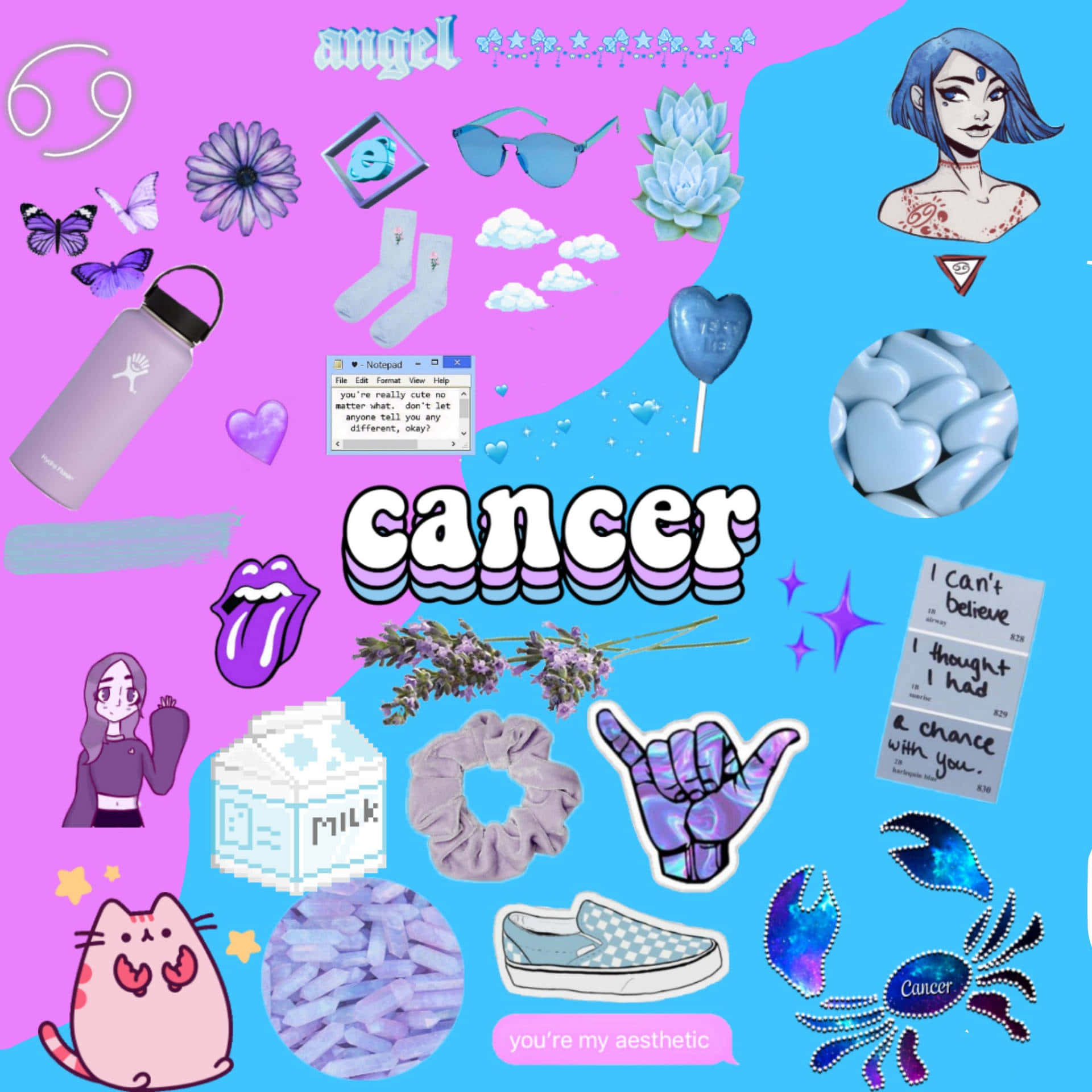 Cancer zodiac sign, crab, sunglasses, Full HD Desktop Wallpaper