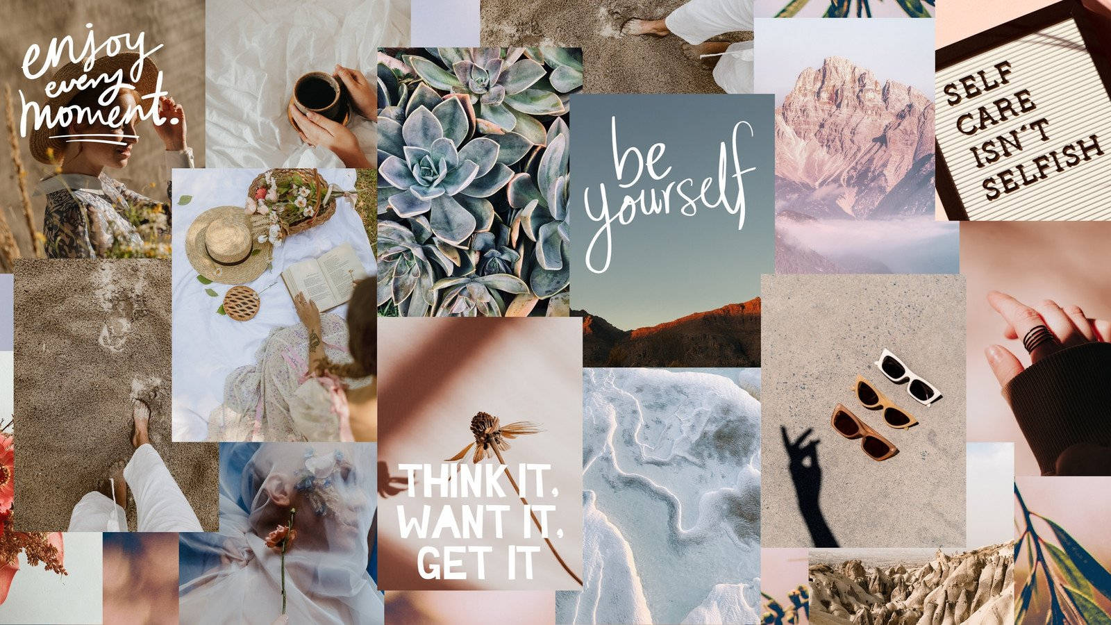 cute animals, self-care affirmations, succulents, HD Desktop Wallpaper
