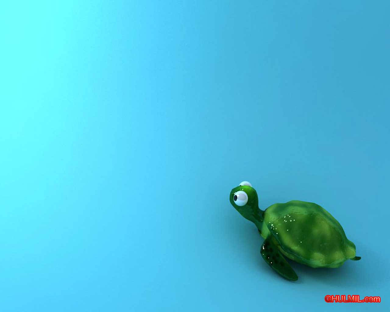 green turtle, blue surface, gradient blue background, HD Desktop Wallpaper