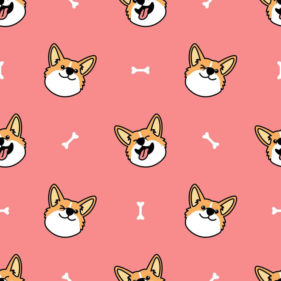cute corgi face pattern, cartoon corgi faces, bones, SD Desktop Wallpaper