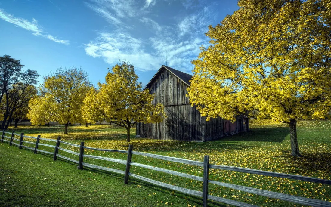 Cute Country