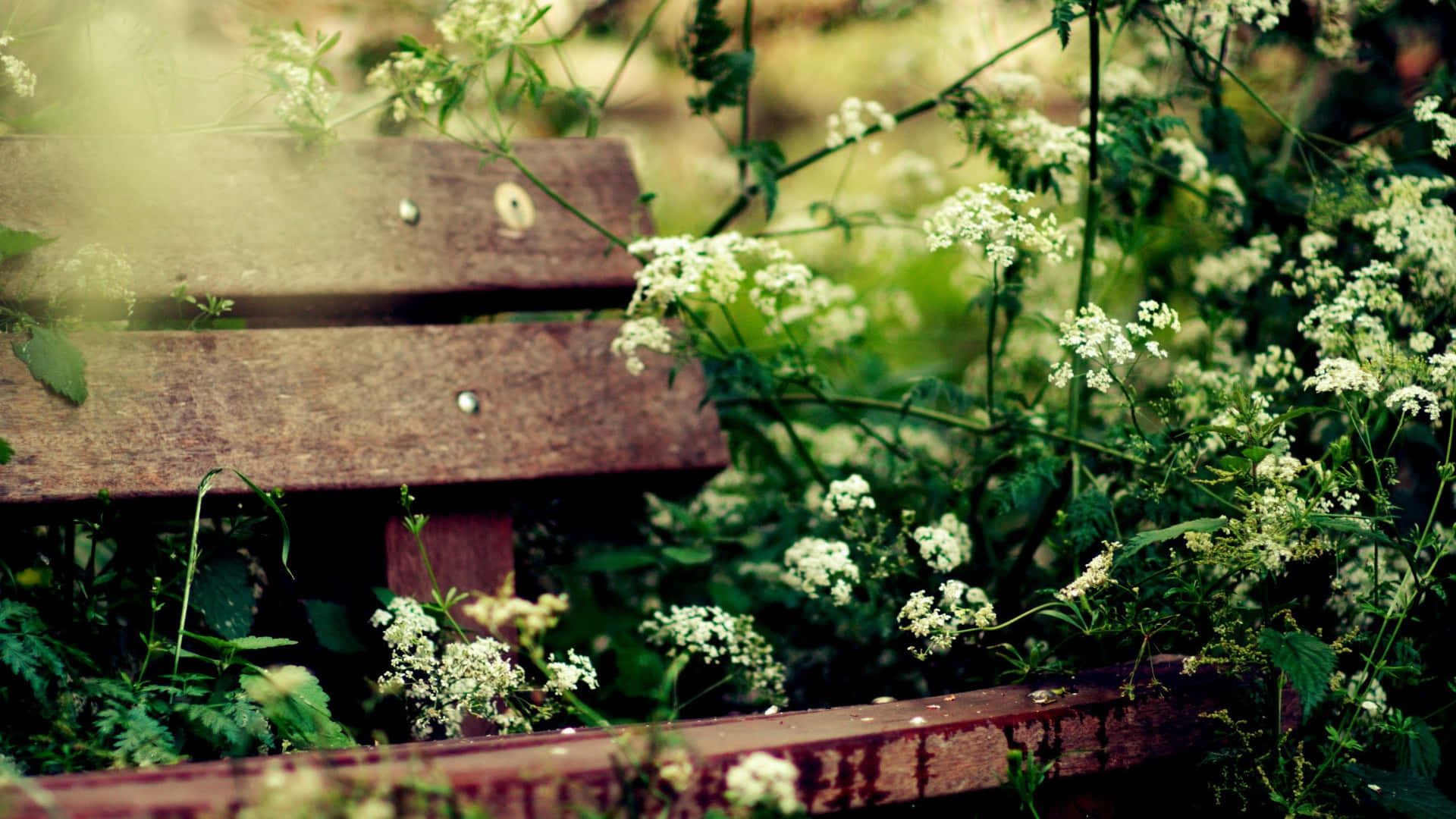 Cute Country, rustic bench, weathered wooden bench, Full HD Desktop Wallpaper