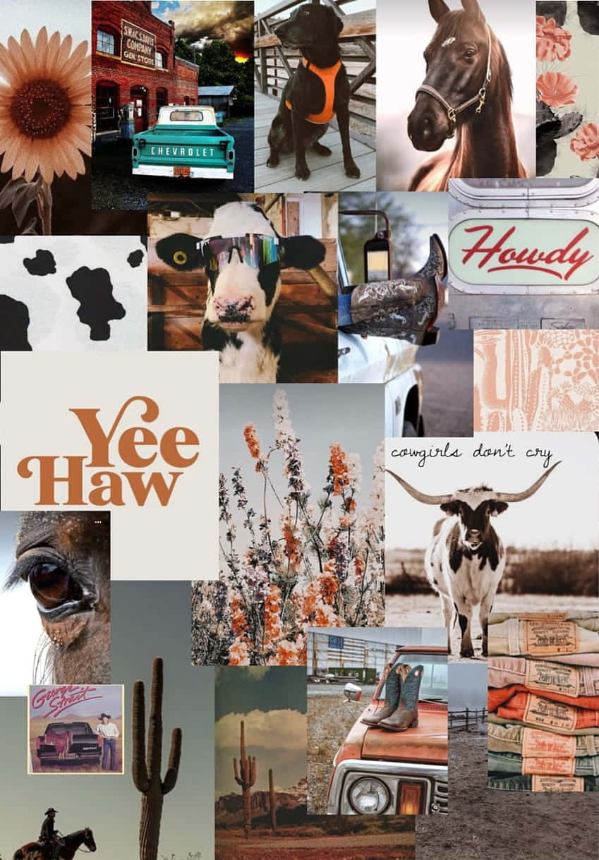 cute country aesthetic images collage, turquoise truck, longhorn, SD Phone Wallpaper