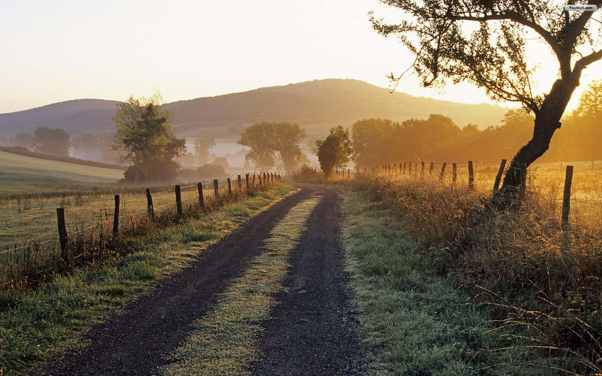 Cute Country, afternoon scenery, misty dawn path, Full HD Desktop Wallpaper
