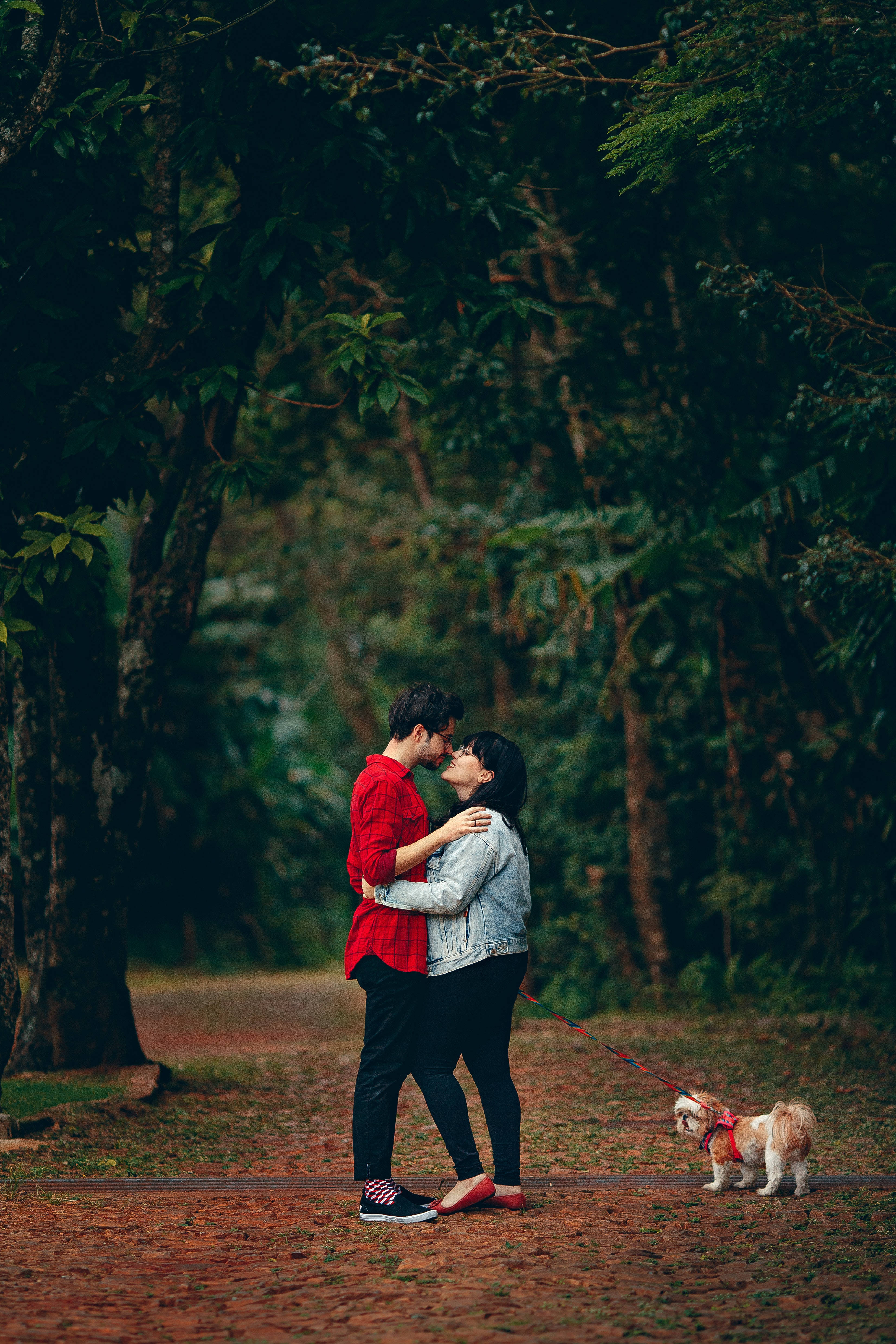couple, puppy, forest path, 4K Phone Wallpaper