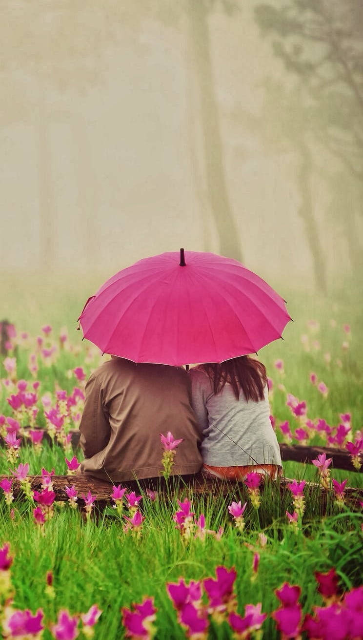 cute couple, bright pink umbrella, field of pink flowers, HD Phone Wallpaper