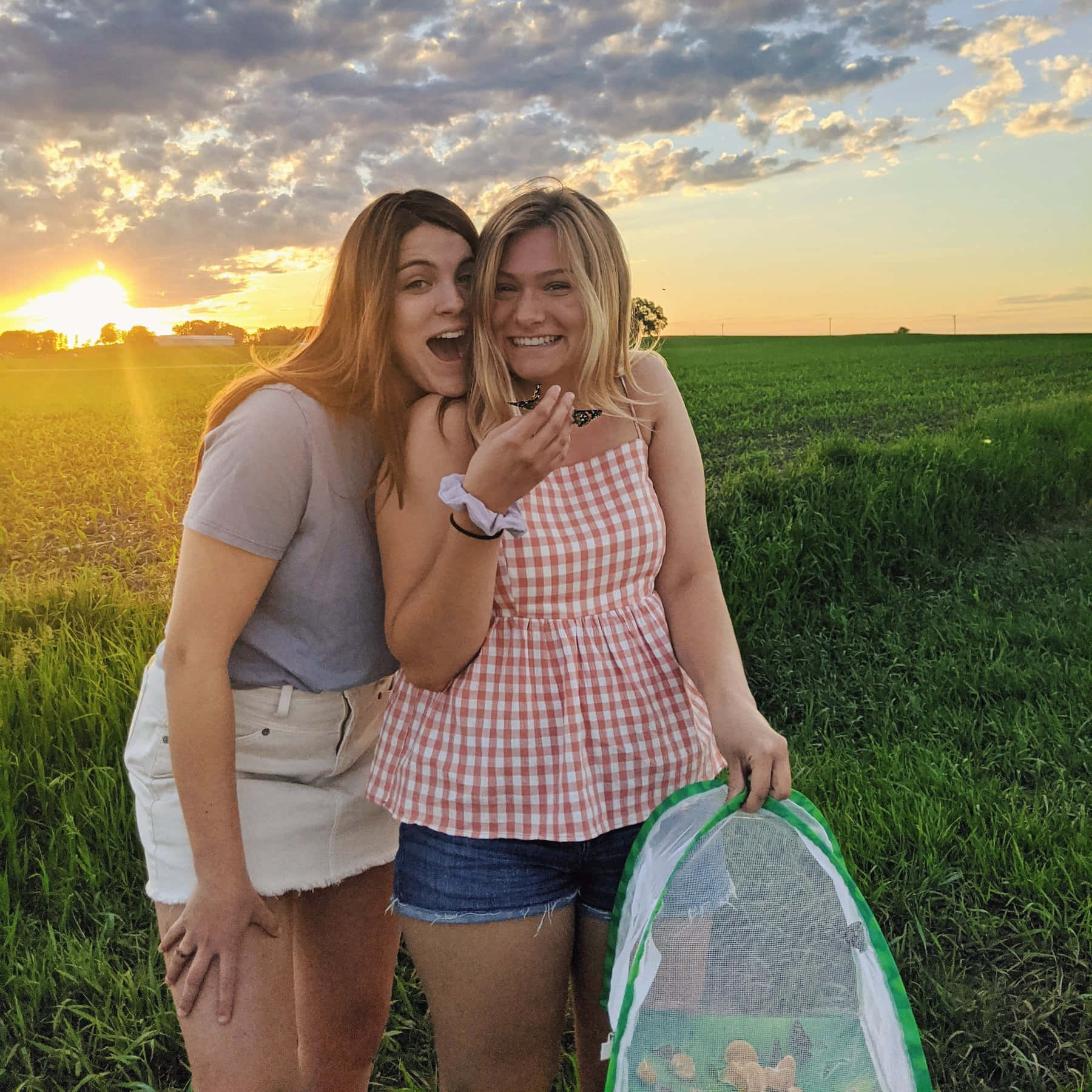 mujeres lesbianas, sunlit field, sunset, HD Desktop Wallpaper