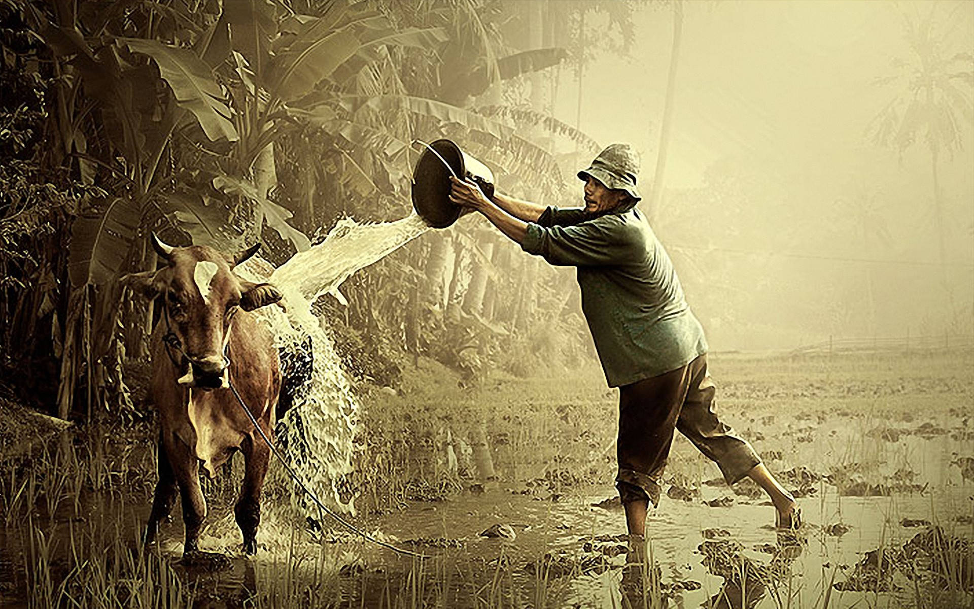 farmer, hat, cow, Full HD Desktop Wallpaper