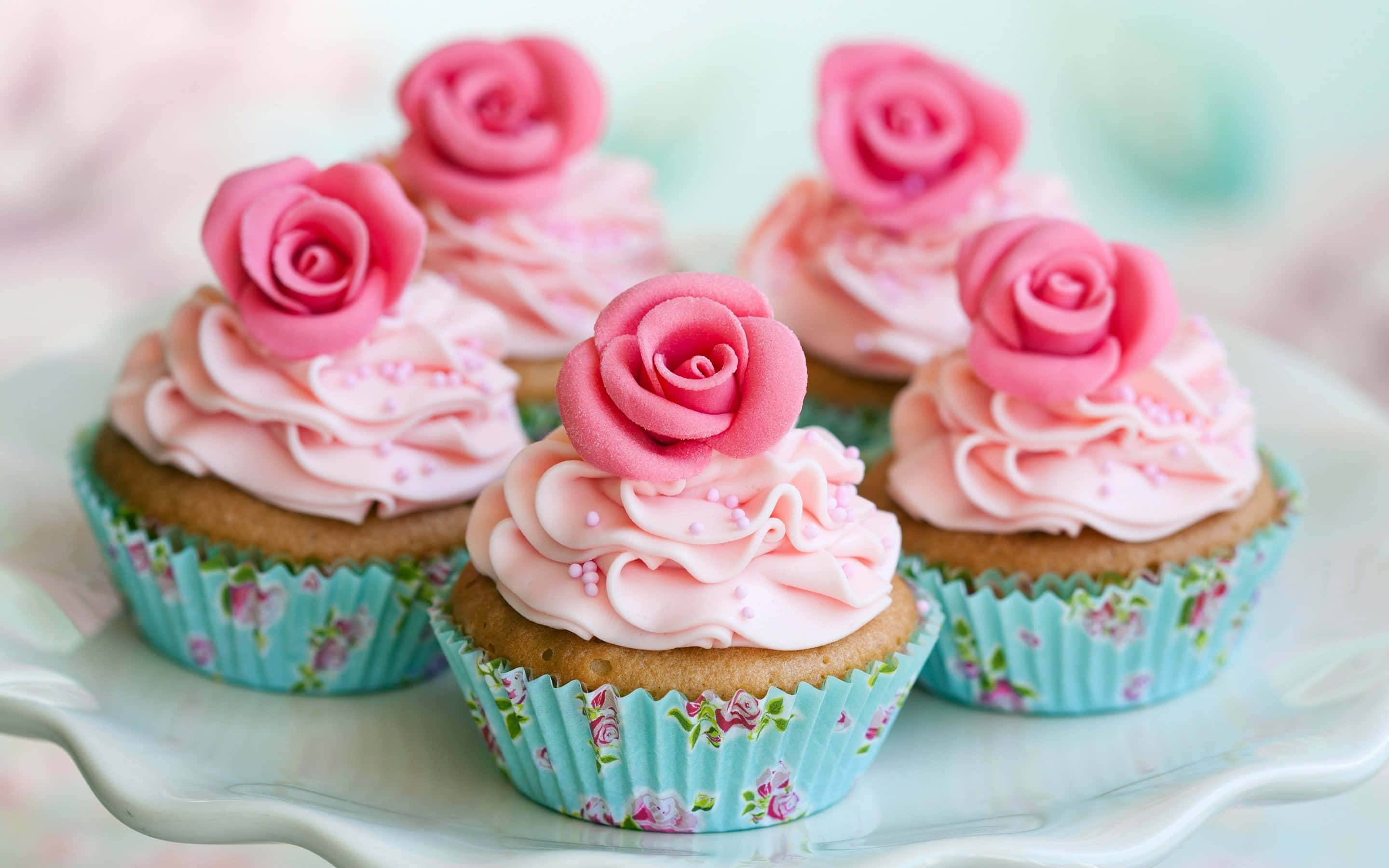 cute cupcake, pink rose frosting, floral liners, 2K Desktop Wallpaper