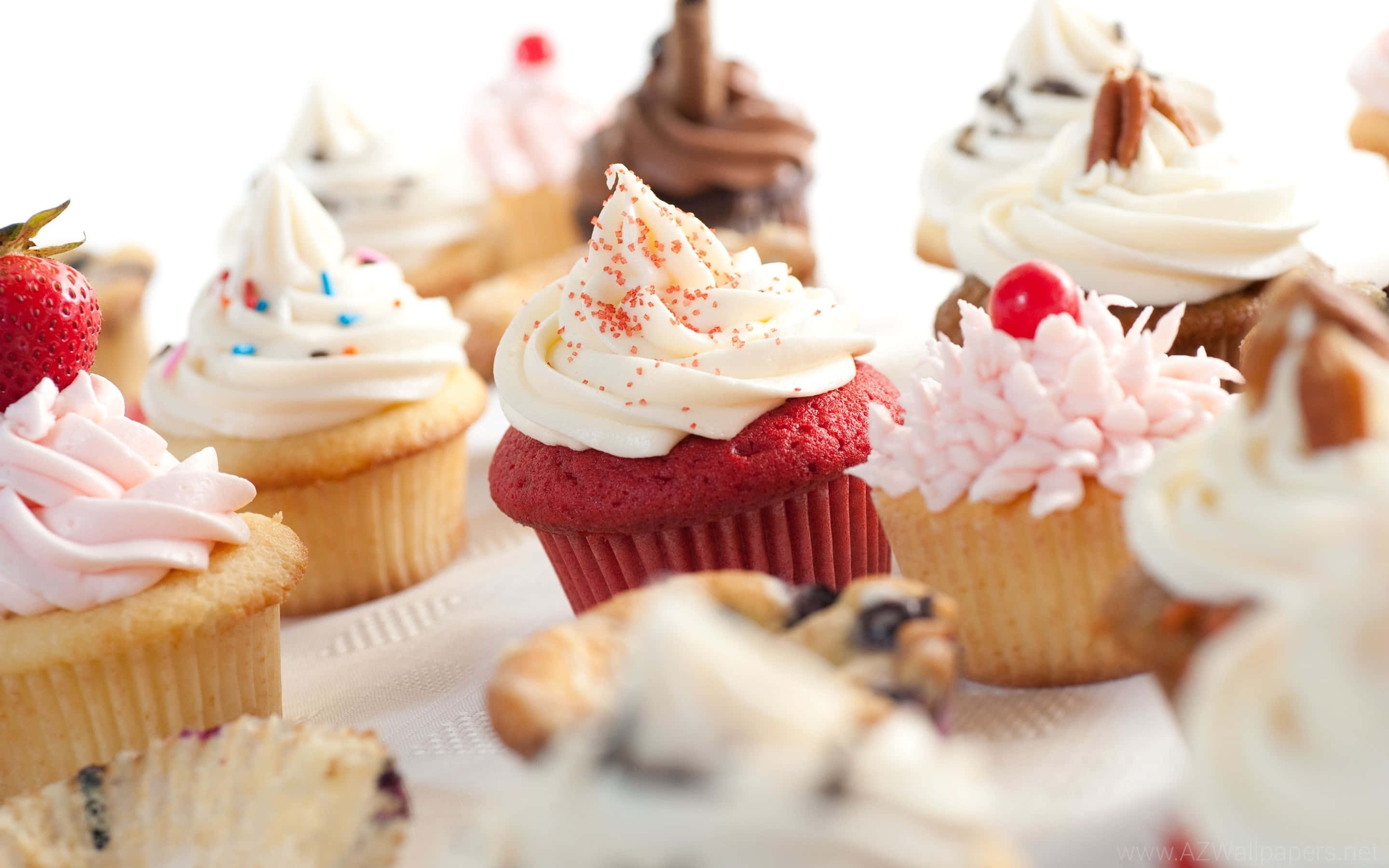 cute cupcake, assorted colorful cupcakes, whipped cream toppings, 2K Desktop Wallpaper