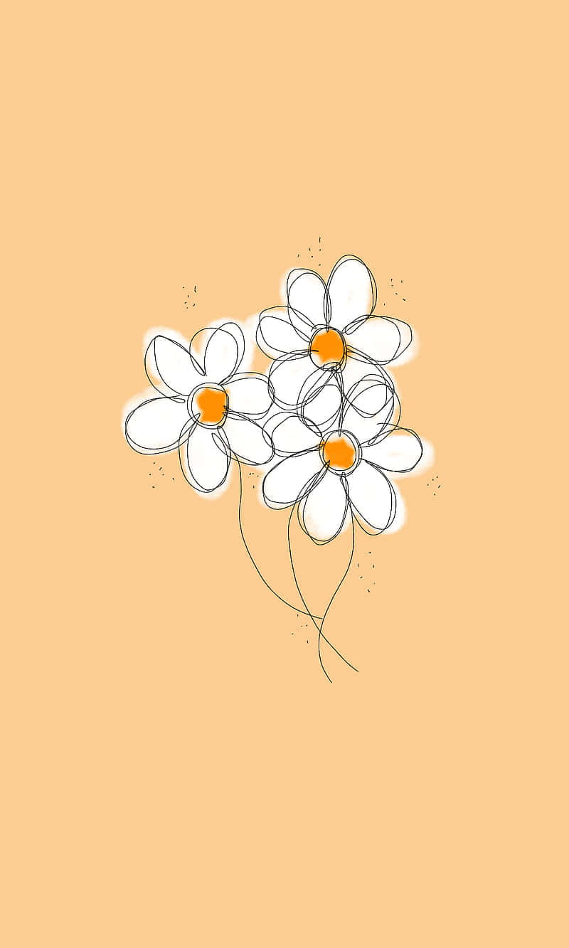 Cute Daisy, beige background, orange centers, HD Phone Wallpaper