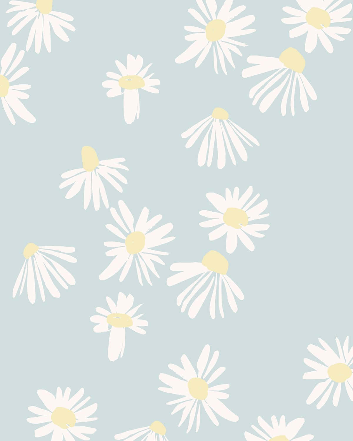 Cute Daisy, pastel blue, white daisies, HD Phone Wallpaper